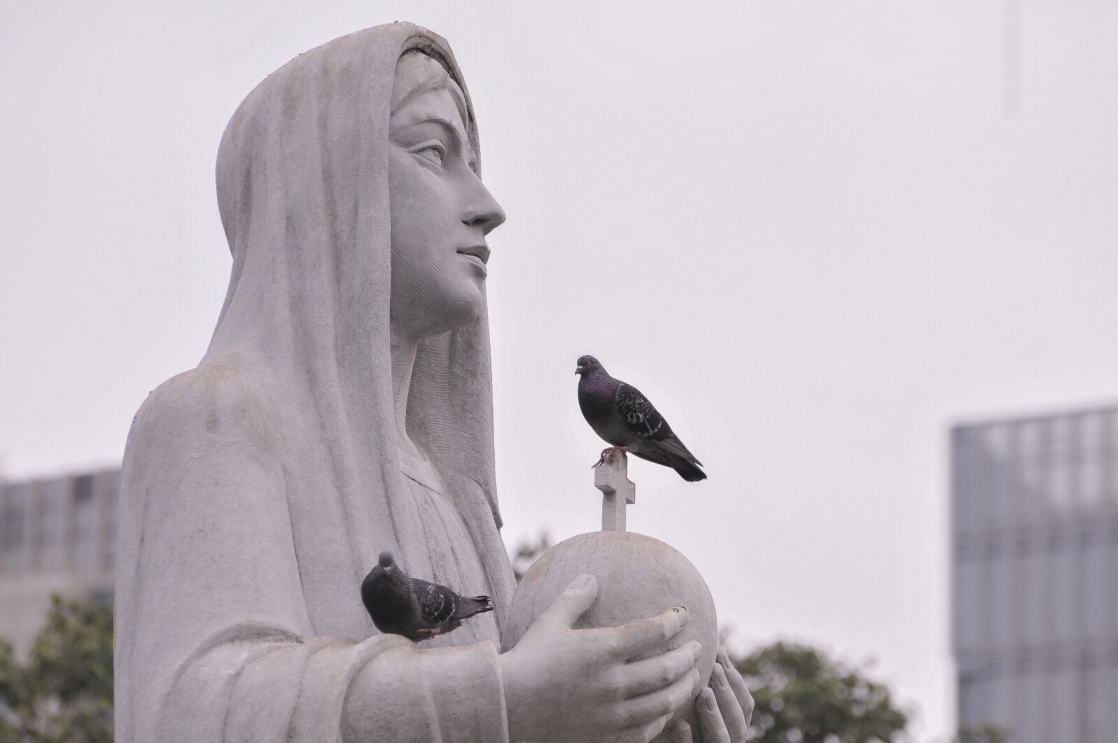 Nikon D300 sample photo. Saint maria, religion, saigon photography