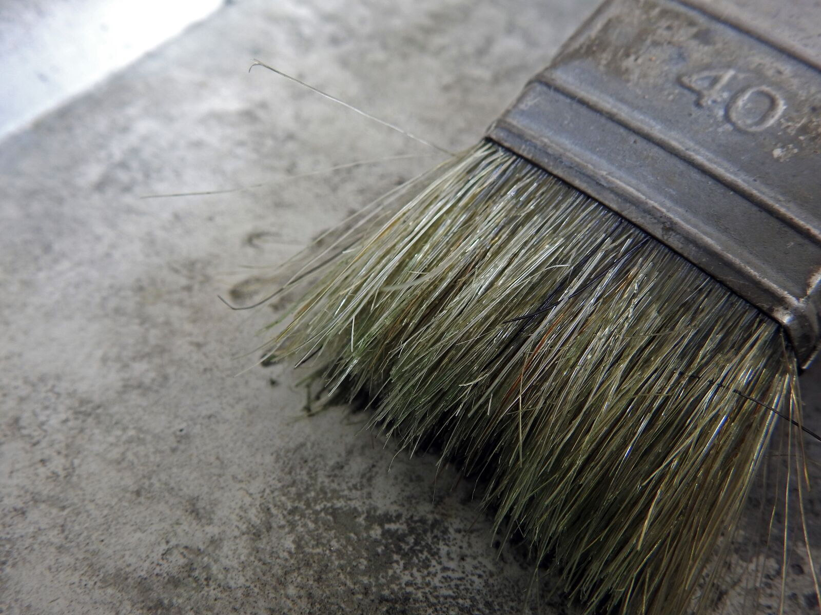 Nikon Coolpix P900 sample photo. Brush, bristles, delete photography