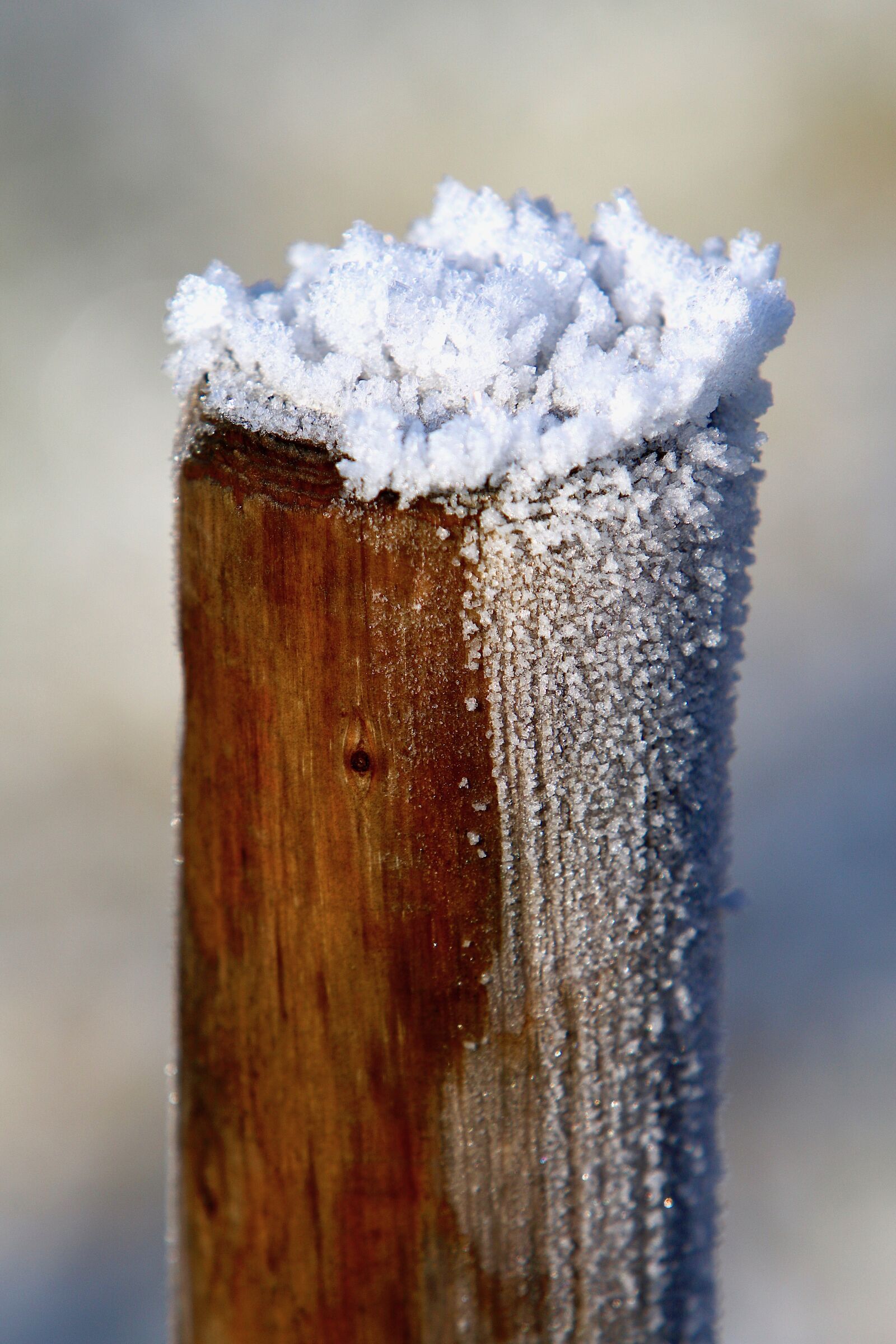 Canon EF 70-200mm F2.8L IS USM sample photo. Wood pile, icing, frost photography
