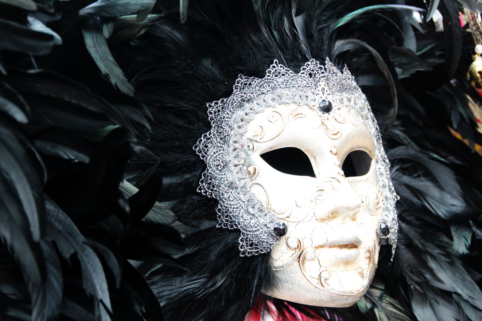 Canon EOS 600D (Rebel EOS T3i / EOS Kiss X5) sample photo. Mask, venice, carnival photography