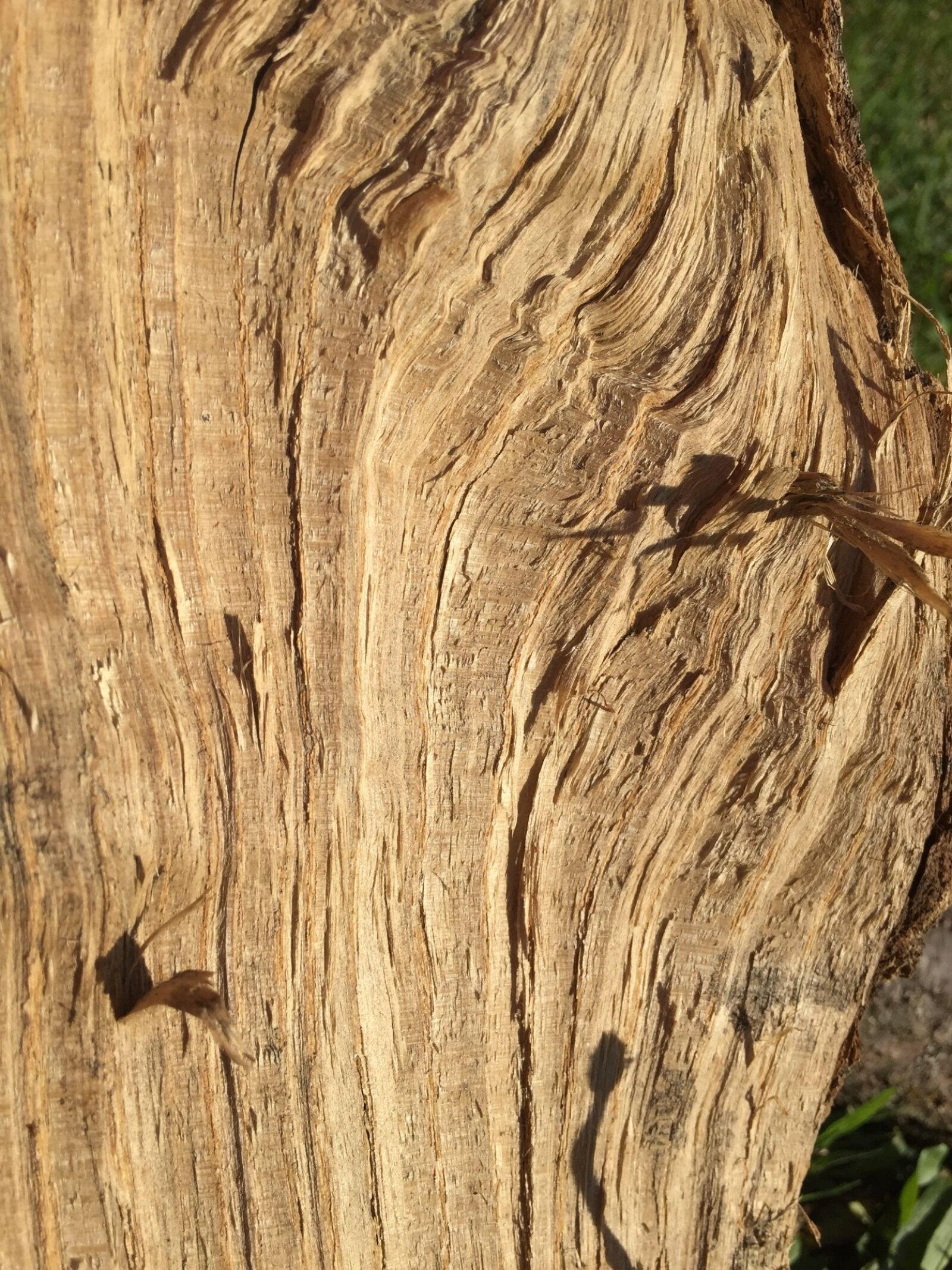 iPhone 6 back camera 4.15mm f/2.2 sample photo