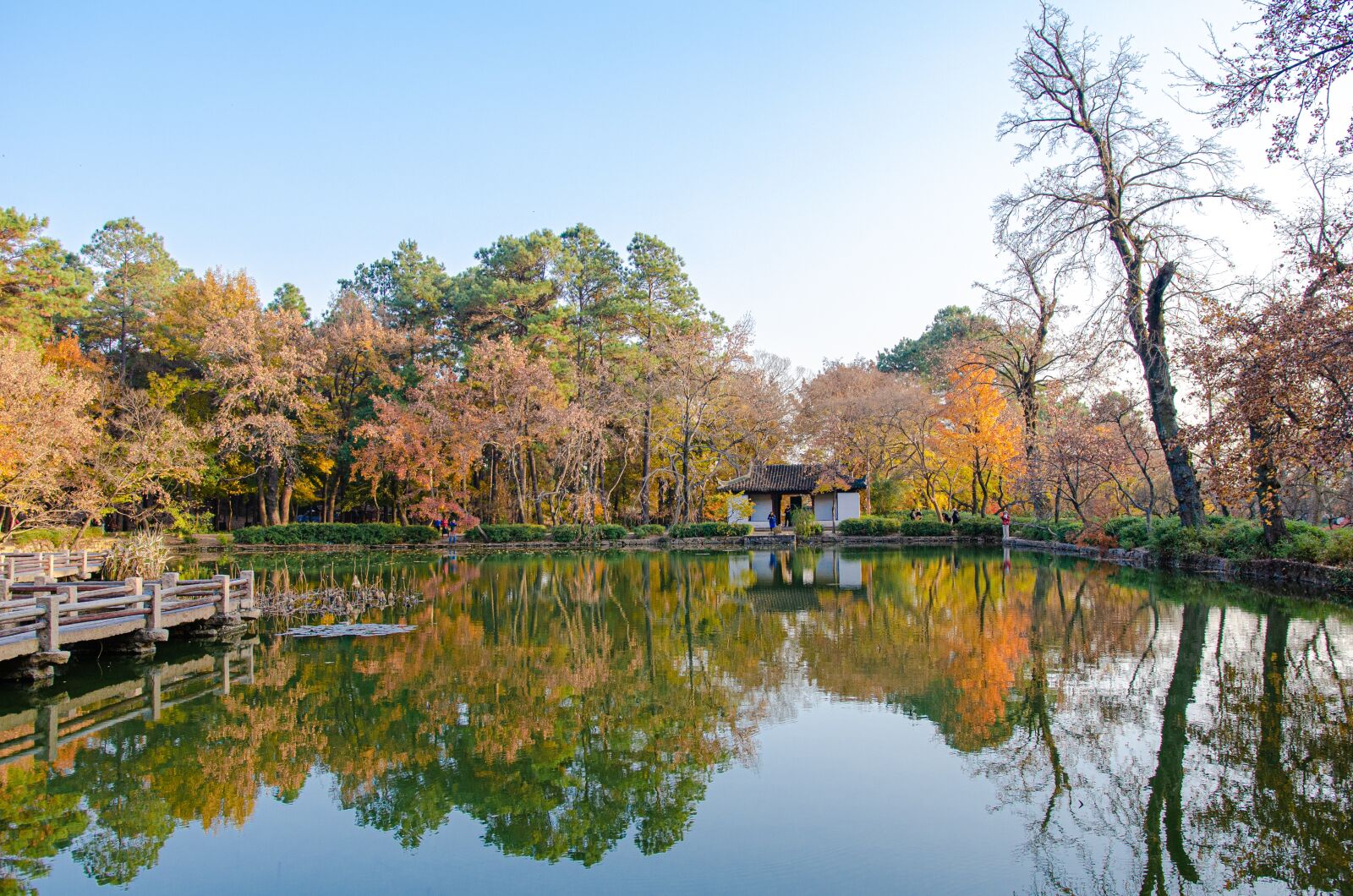 Nikon D7000 sample photo. Suzhou, autumn, tin ping photography