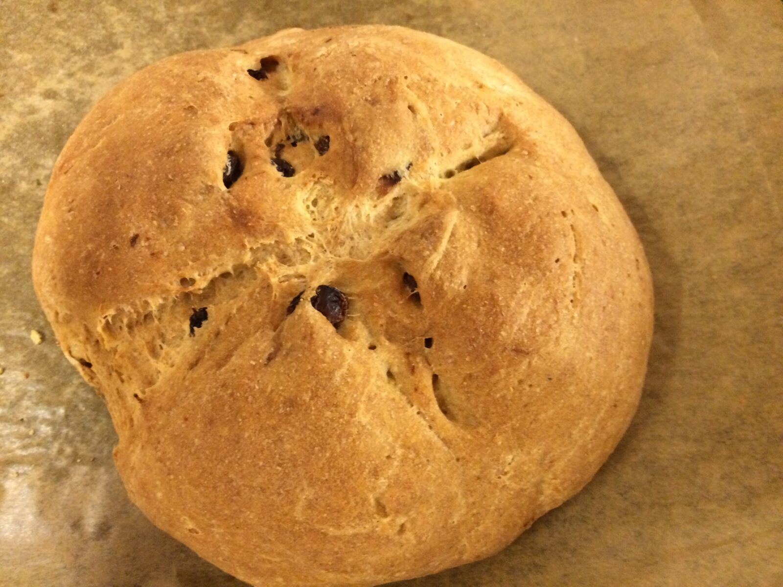 iPhone 5s back camera 4.12mm f/2.2 sample photo. Yeast bread, bread, raisin photography