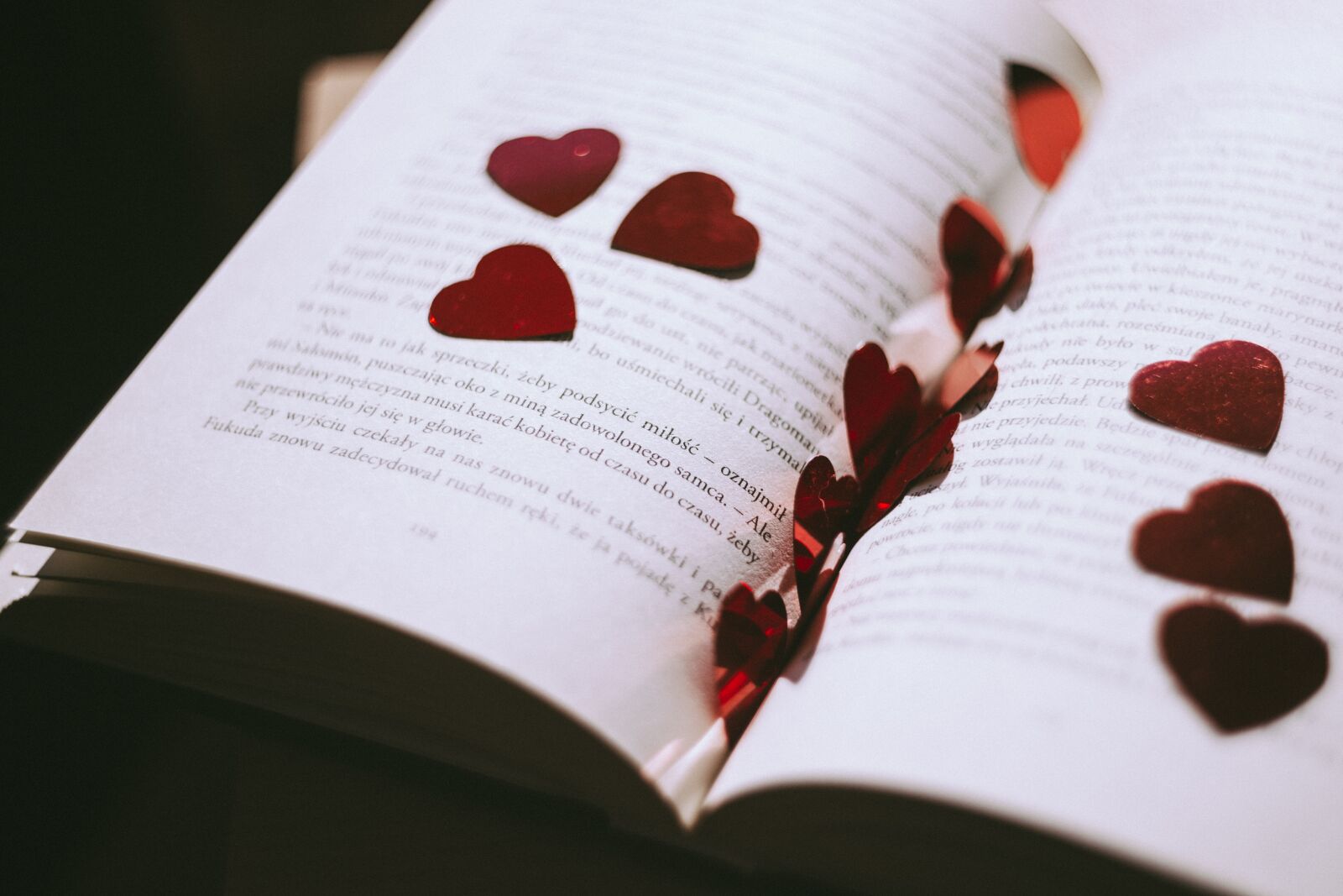 Canon EOS 6D sample photo. Book, petals, rose photography