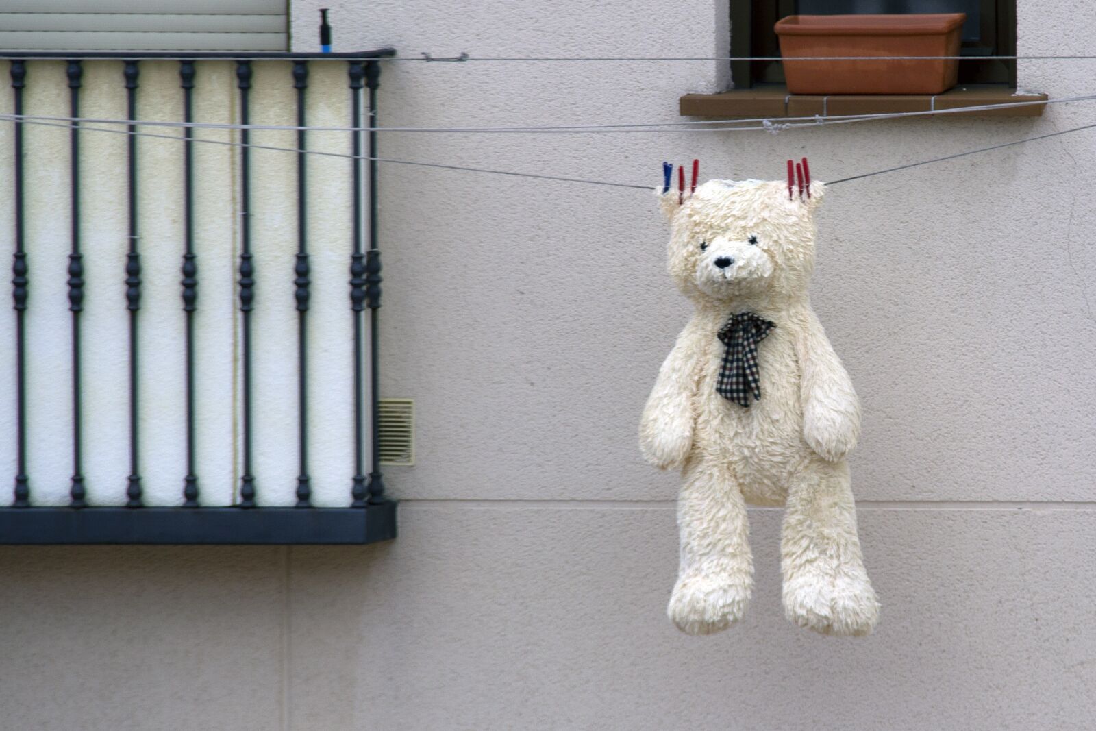 Canon EOS 600D (Rebel EOS T3i / EOS Kiss X5) sample photo. Teddy, bear, toy photography