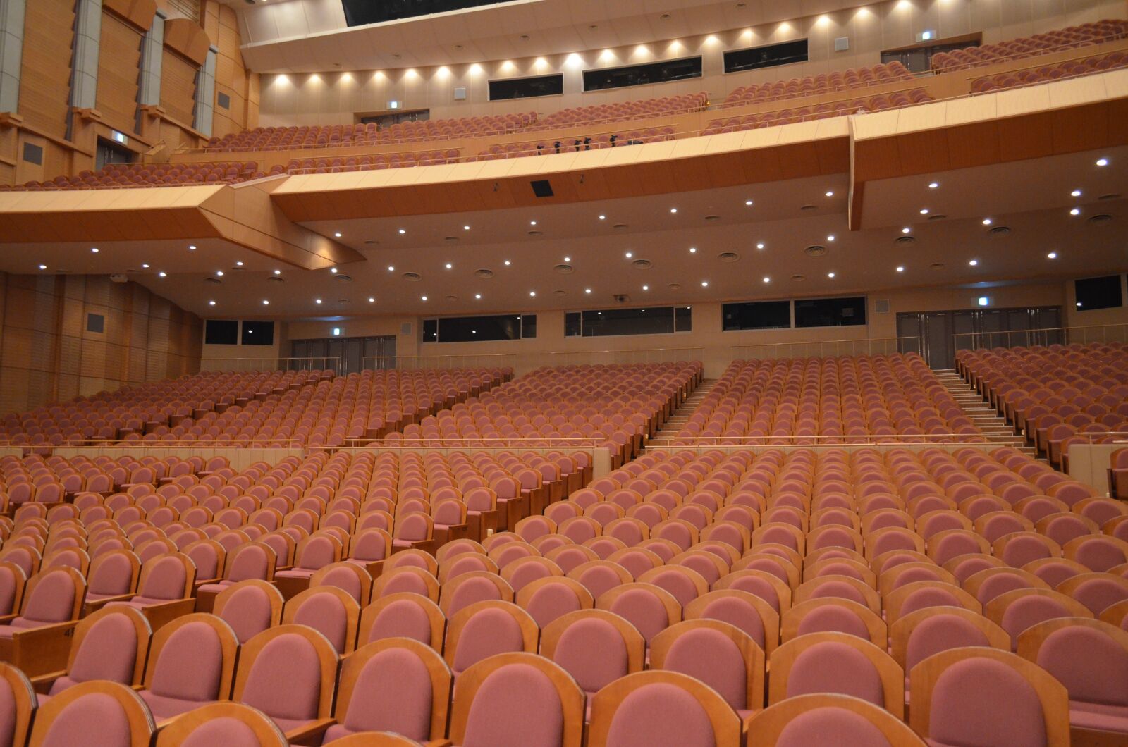 Nikon D5100 sample photo. Concert, seats, hall photography