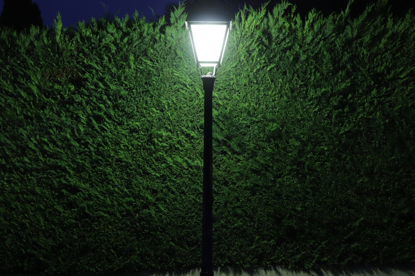Canon EOS 800D (EOS Rebel T7i / EOS Kiss X9i) sample photo. Street lamp, night, light photography