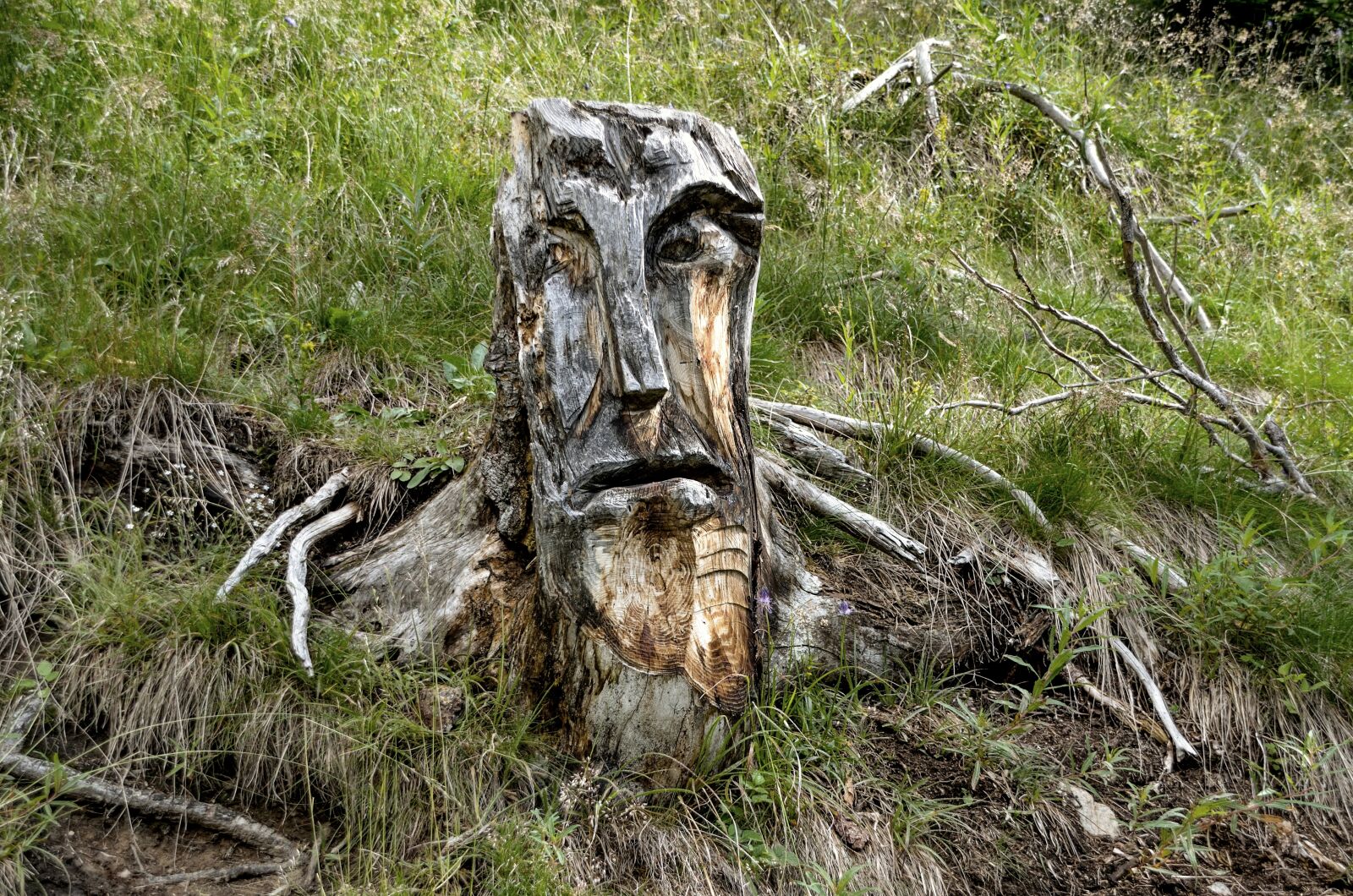 Nikon D7000 sample photo. Face, wood, nature photography