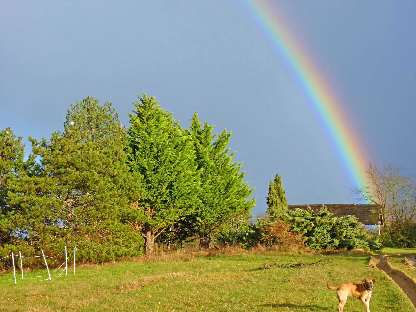 Panasonic Lumix DMC-FZ35 (Lumix DMC-FZ38) sample photo. Rainbow, sky, nature photography