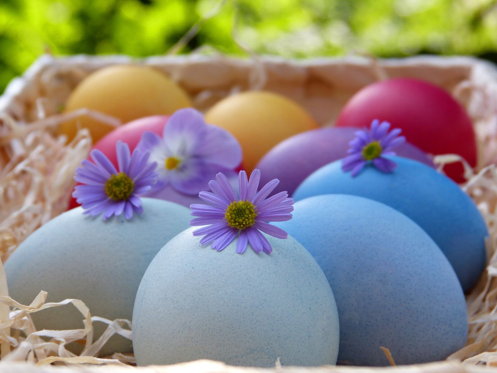 Panasonic Lumix DMC-FZ150 sample photo. Easter eggs, basket, colorful photography