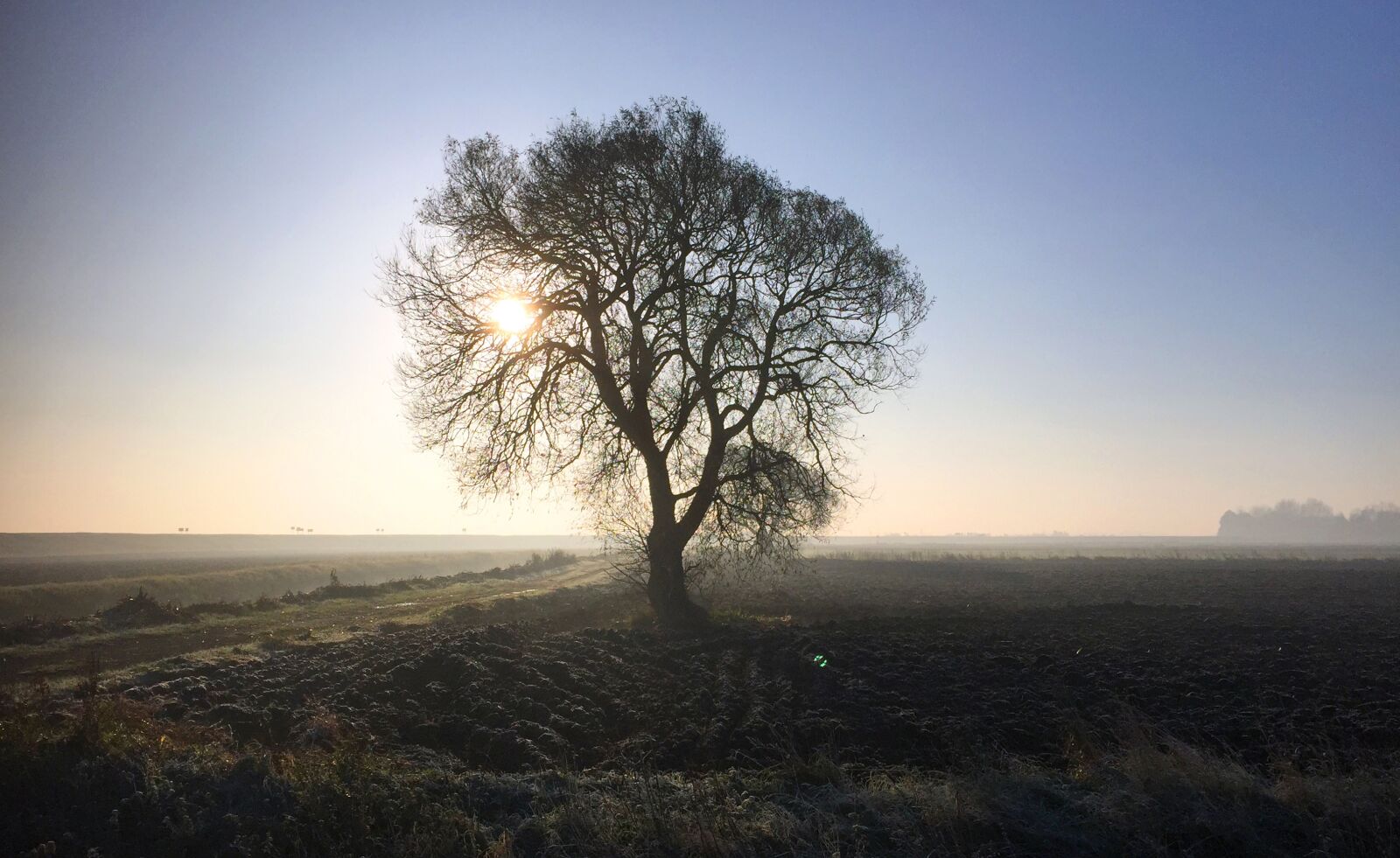 Apple iPhone 6 sample photo. Cold, morning, fens photography