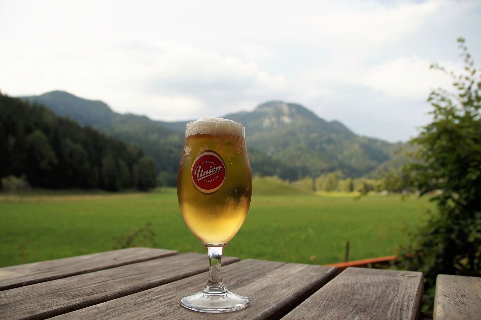 Sony SLT-A58 sample photo. Beer, a glass of photography