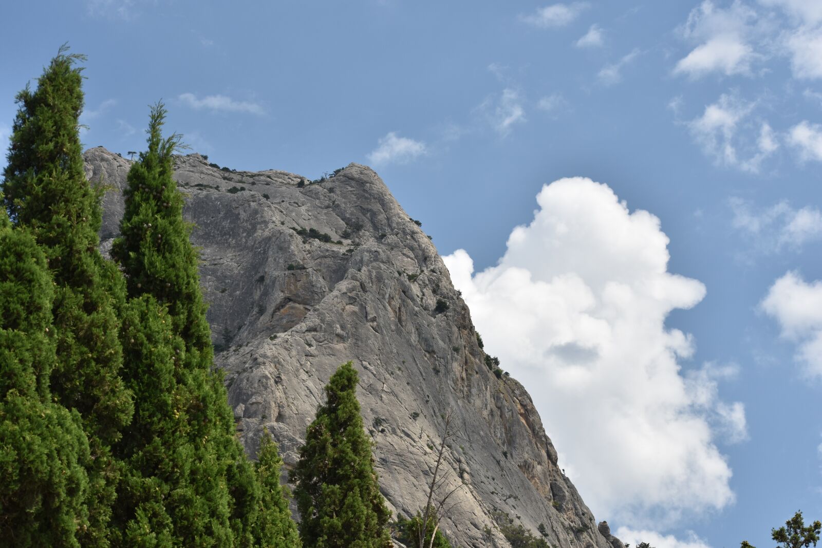 Nikon D3400 sample photo. Mountain, cypress, cloud photography