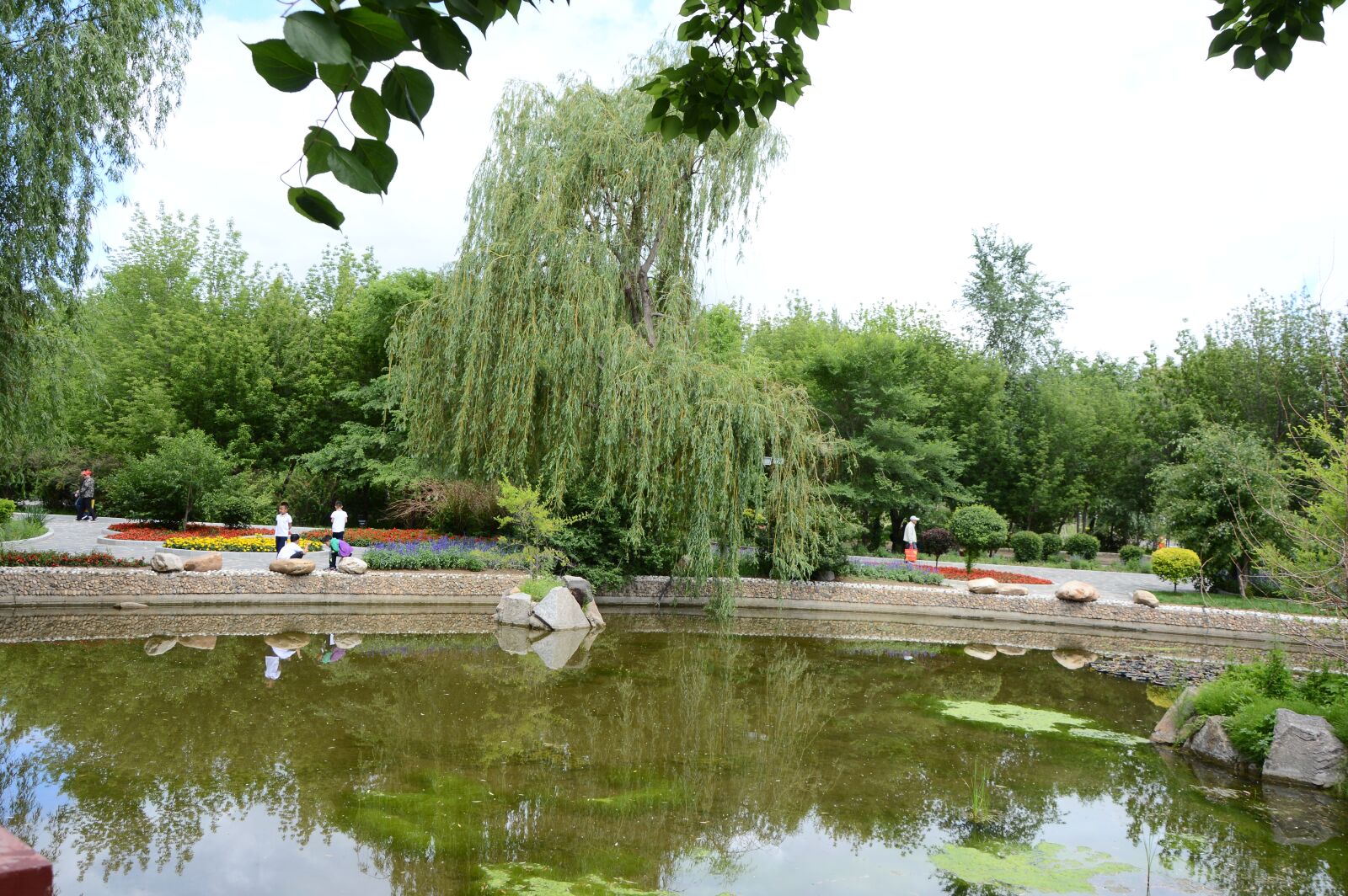 Nikon D3200 sample photo. Park, hu, tree photography