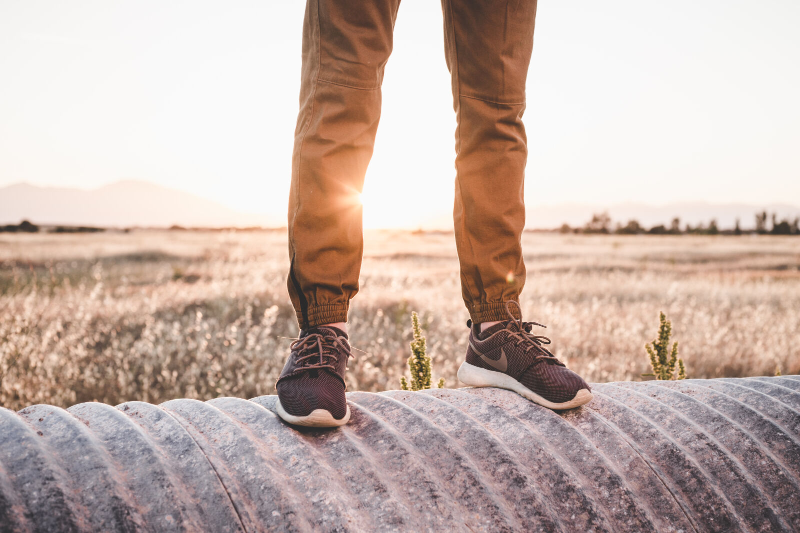 Canon EOS 6D + Canon EF 50mm F1.8 STM sample photo. Environment, field, footwear, grass photography