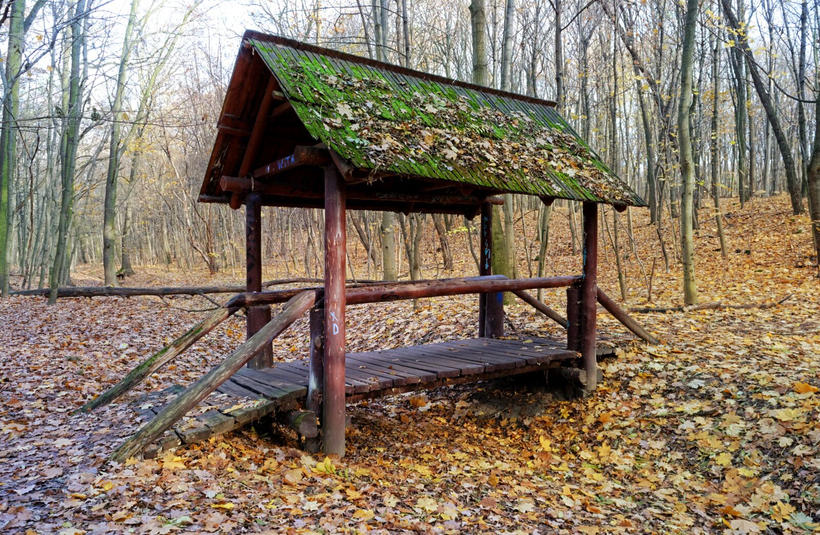 Nikon D3100 sample photo. Construction, wood, bridge photography