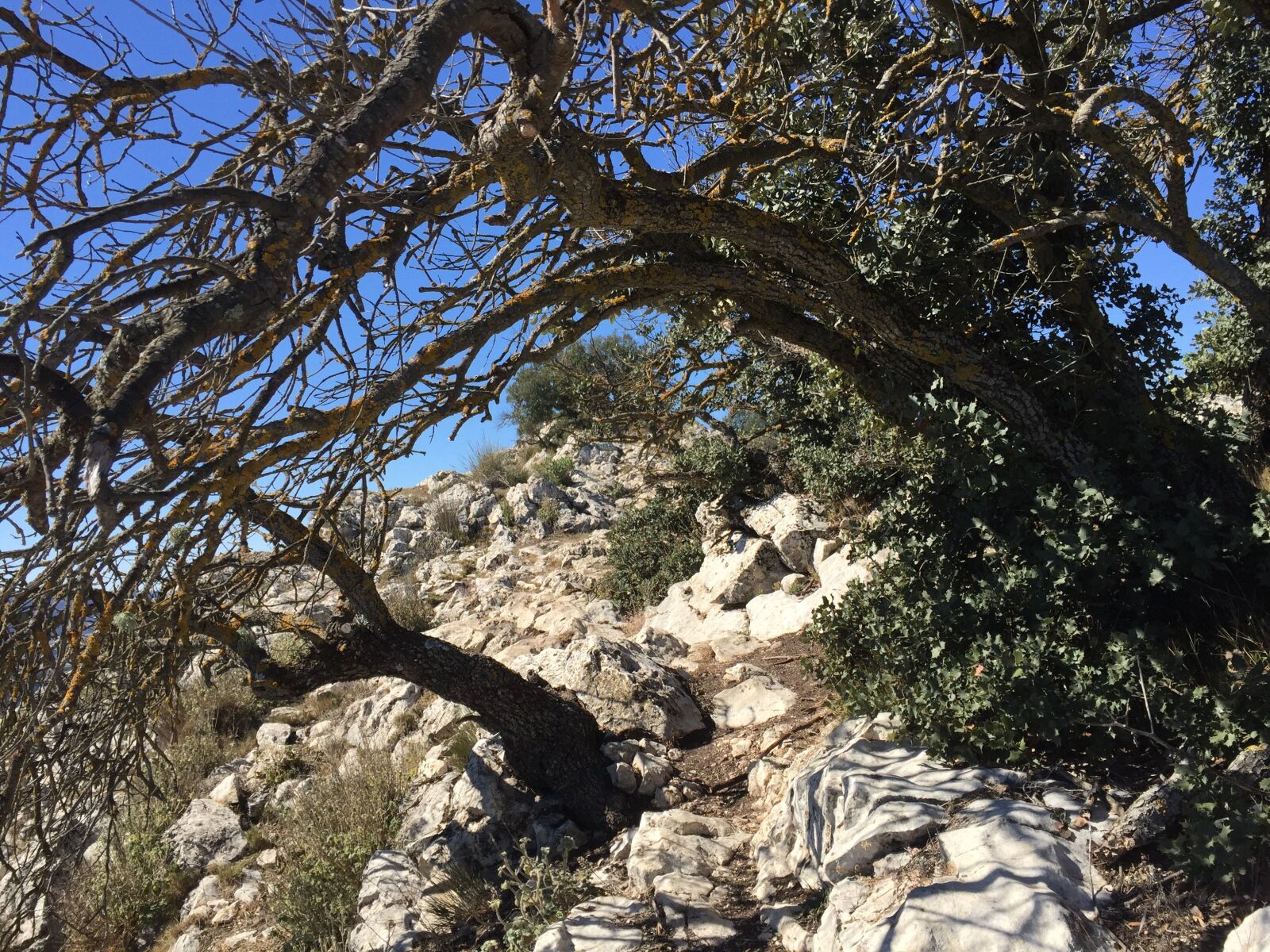 Apple iPhone 6 sample photo. Alcoy, alcoi, serreta photography
