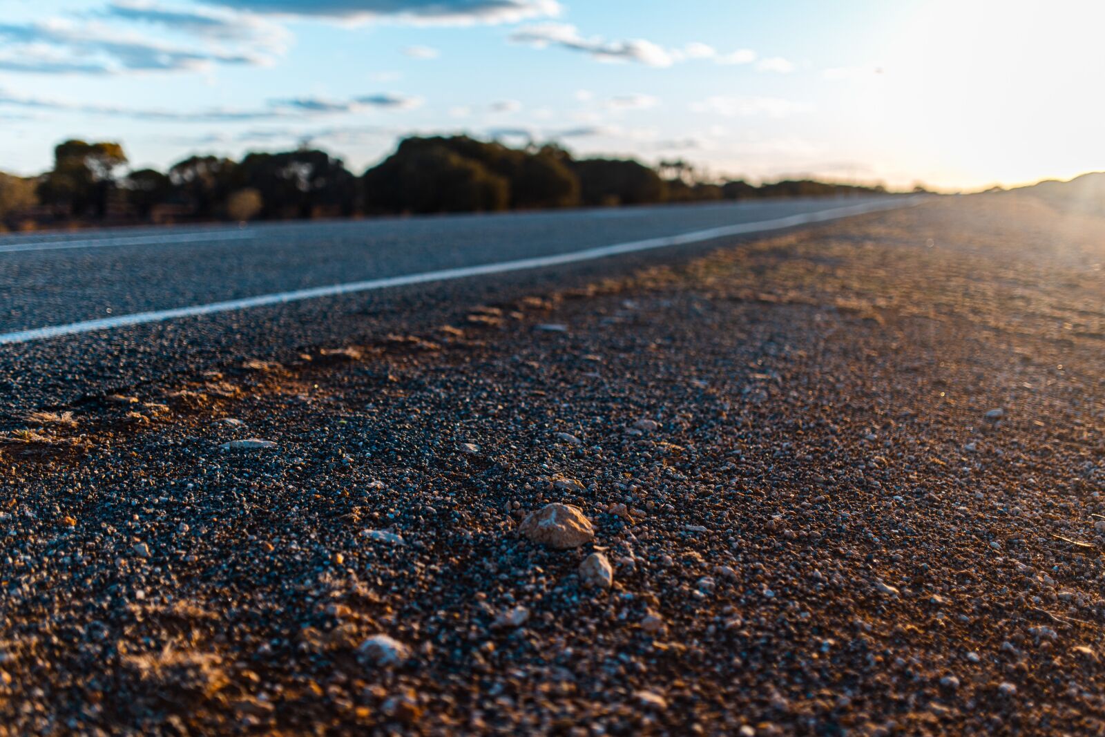 Canon EOS 6D sample photo. Queensland, australia, wild photography