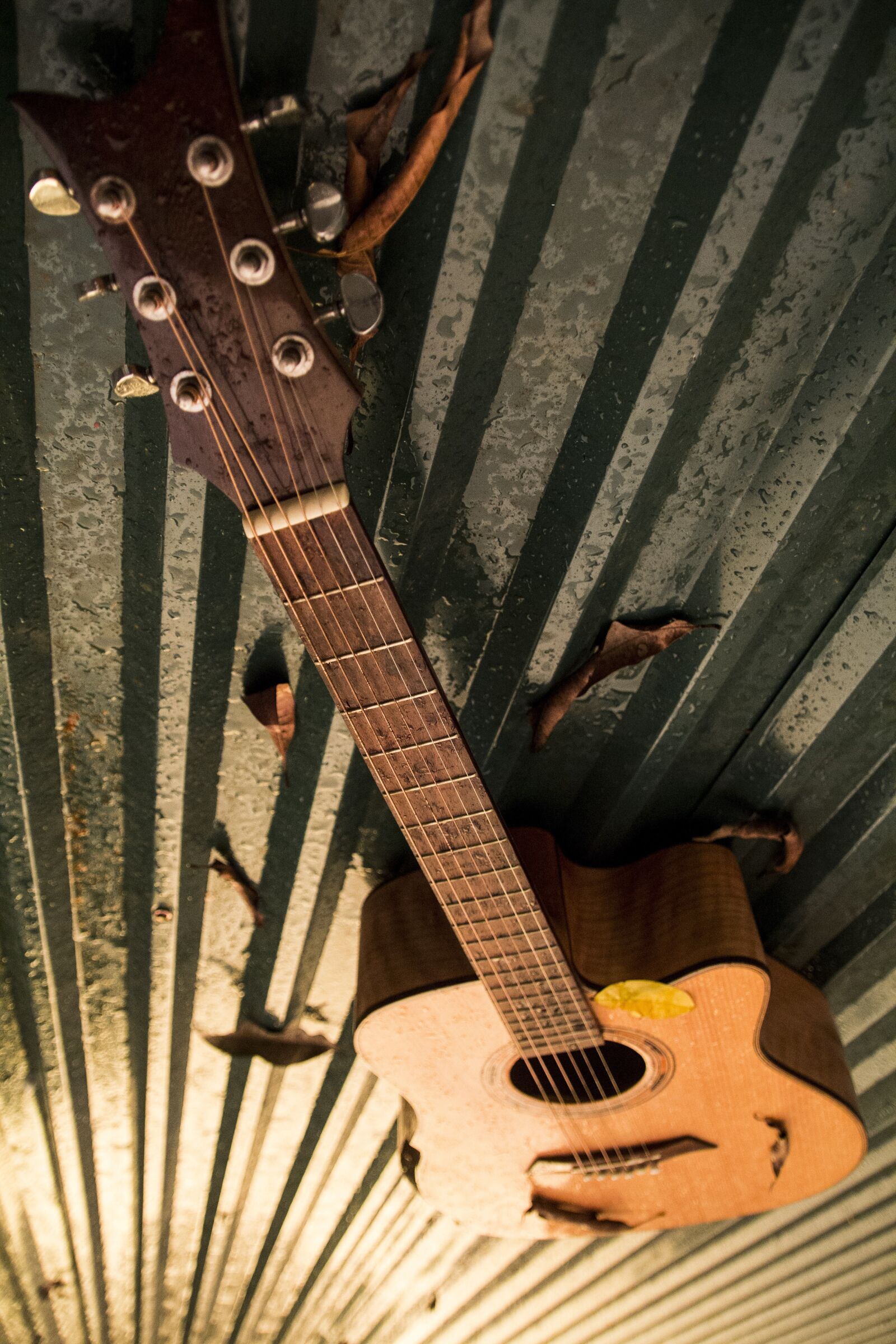 Canon EOS 60D sample photo. Guitar, rain, dried leaves photography