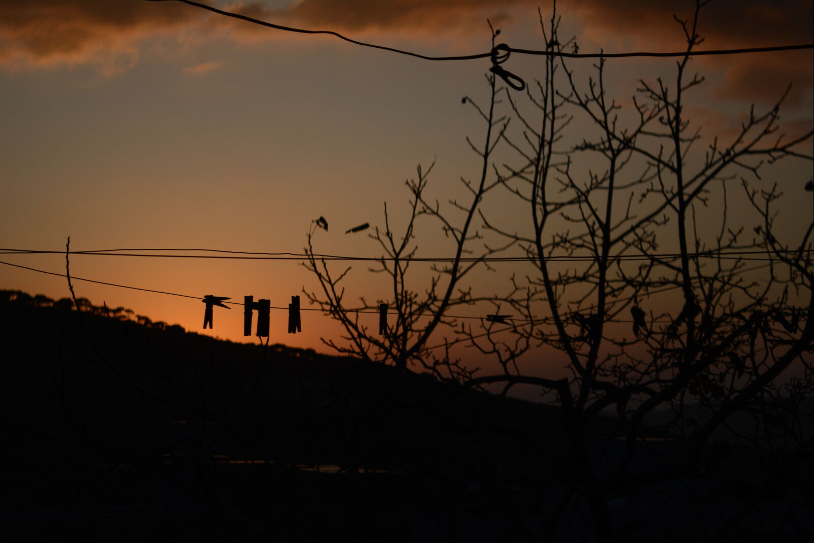 Nikon D5200 sample photo. Againstlight, black, dark, hd photography