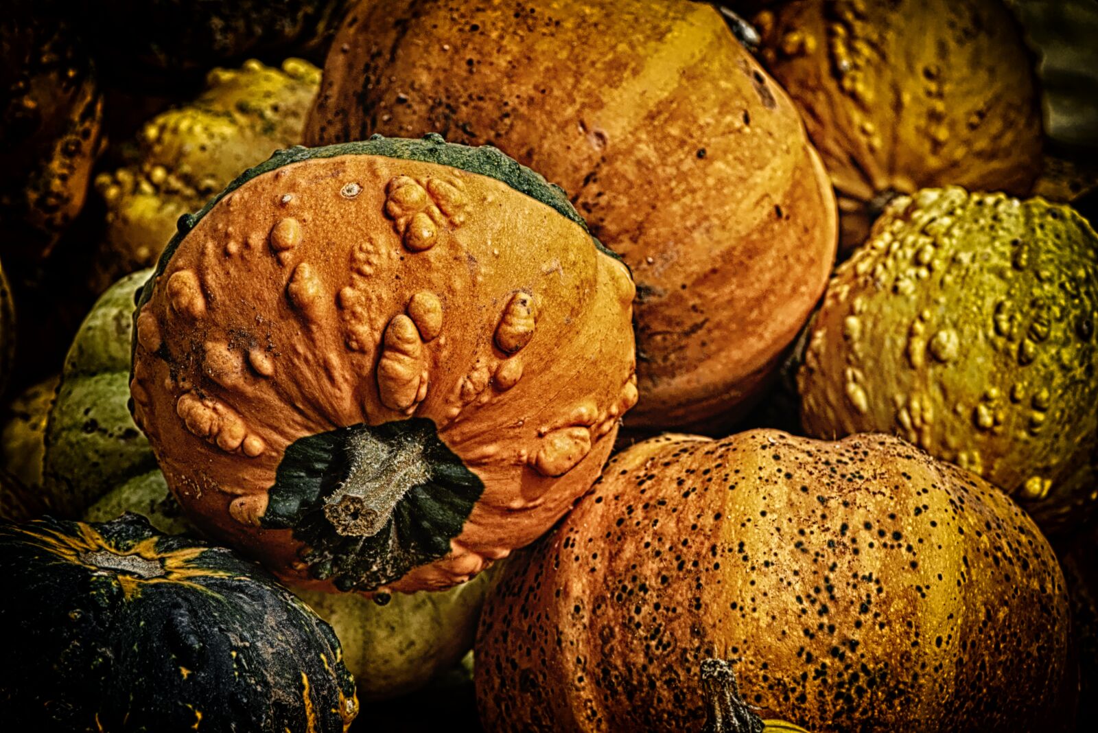 Nikon D7200 sample photo. Pumpkins, colorful, autumn photography
