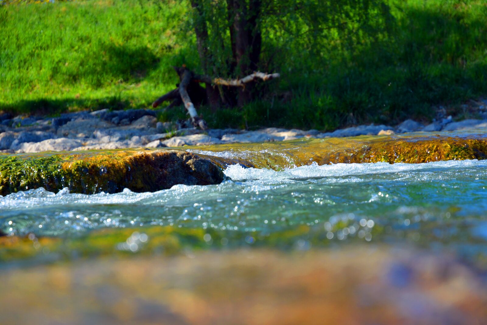 Nikon D5200 sample photo. Water, stones, flower photography