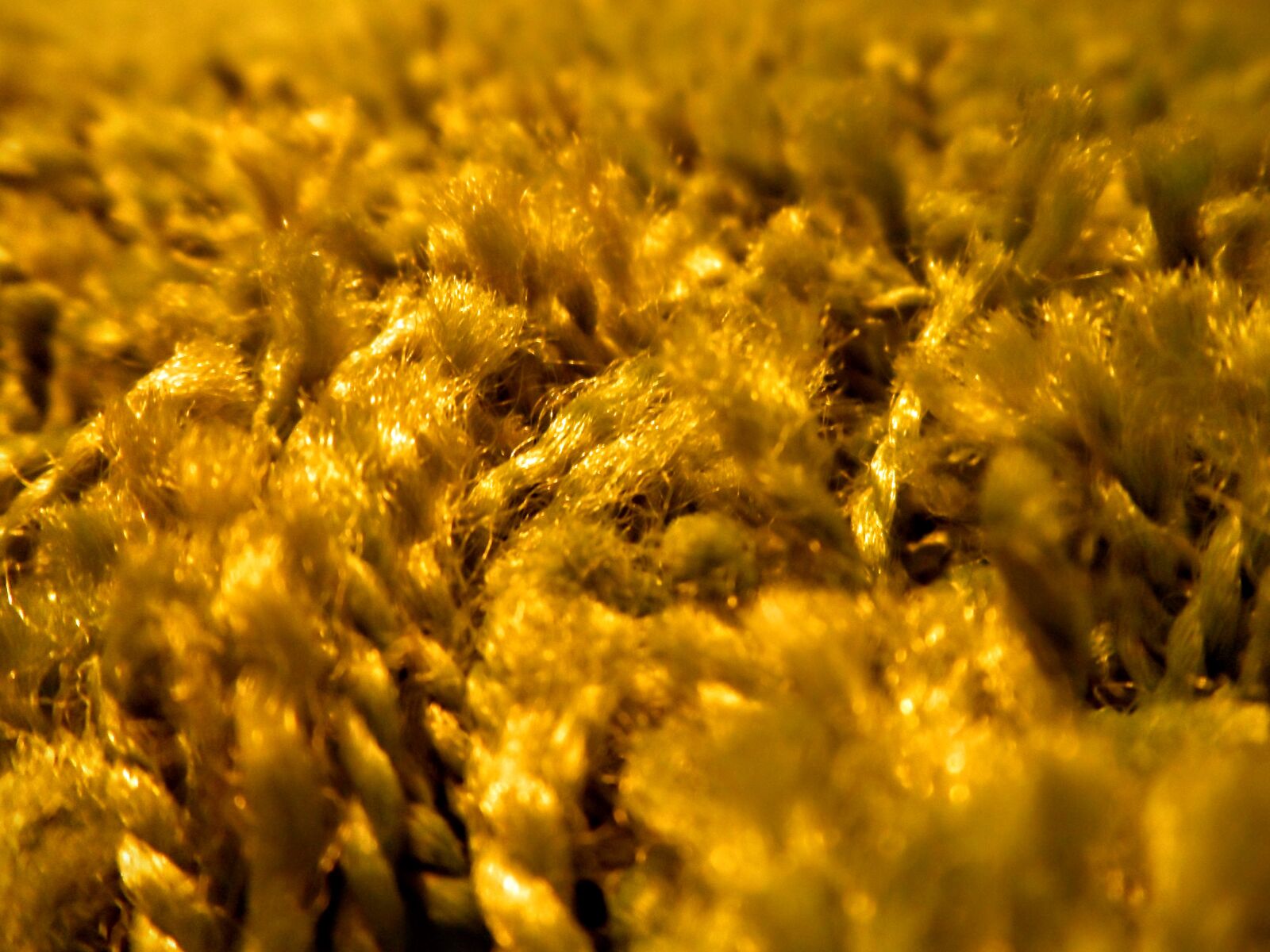 Samsung ST200 / ST200F / ST201 / ST201F / ST205F sample photo. Carpet, macro photography