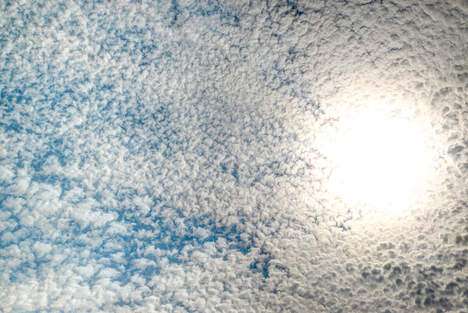 Nikon D610 sample photo. Sun, sheep clouds, sky photography