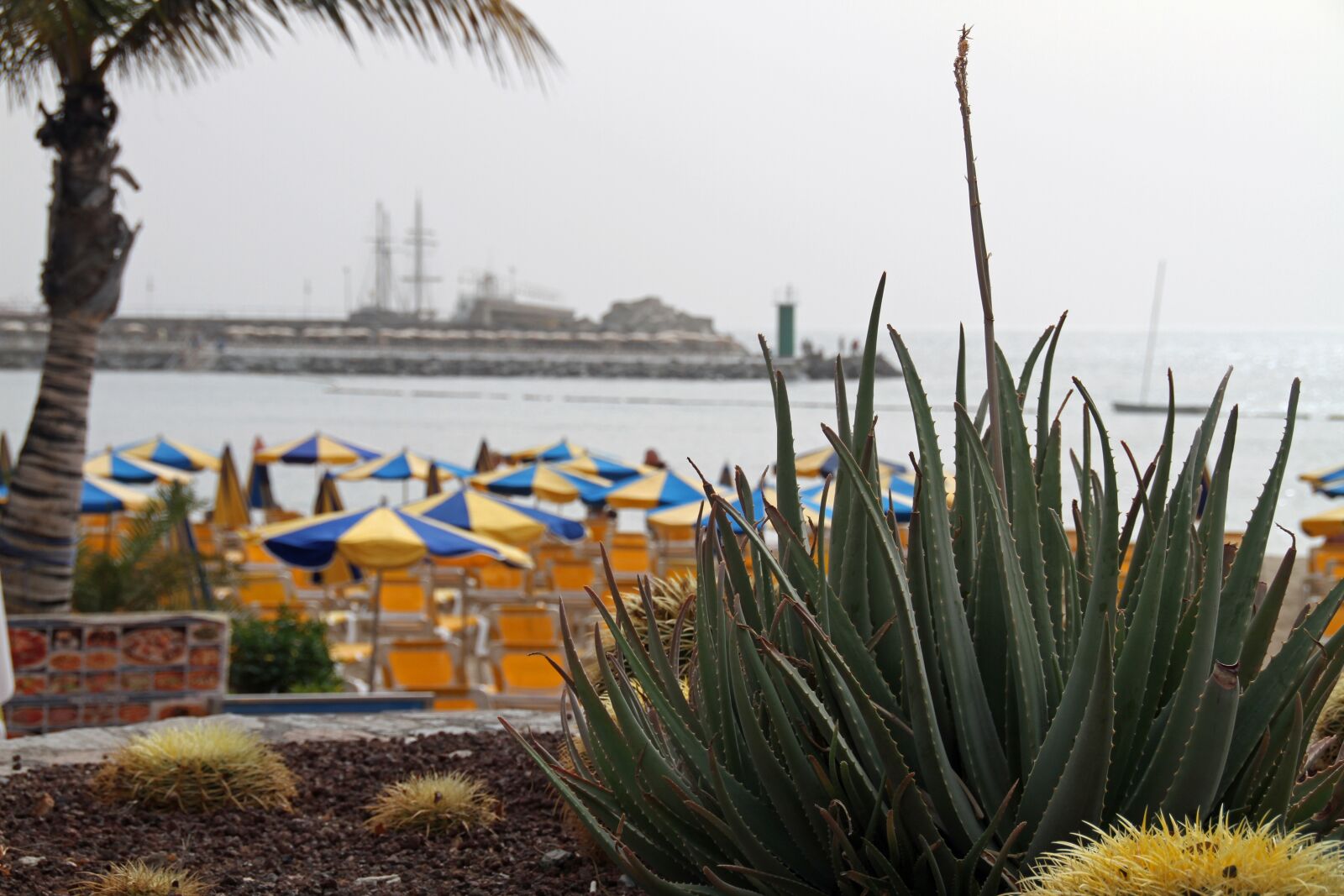 Canon EOS 7D sample photo. Canary, islands, gran photography