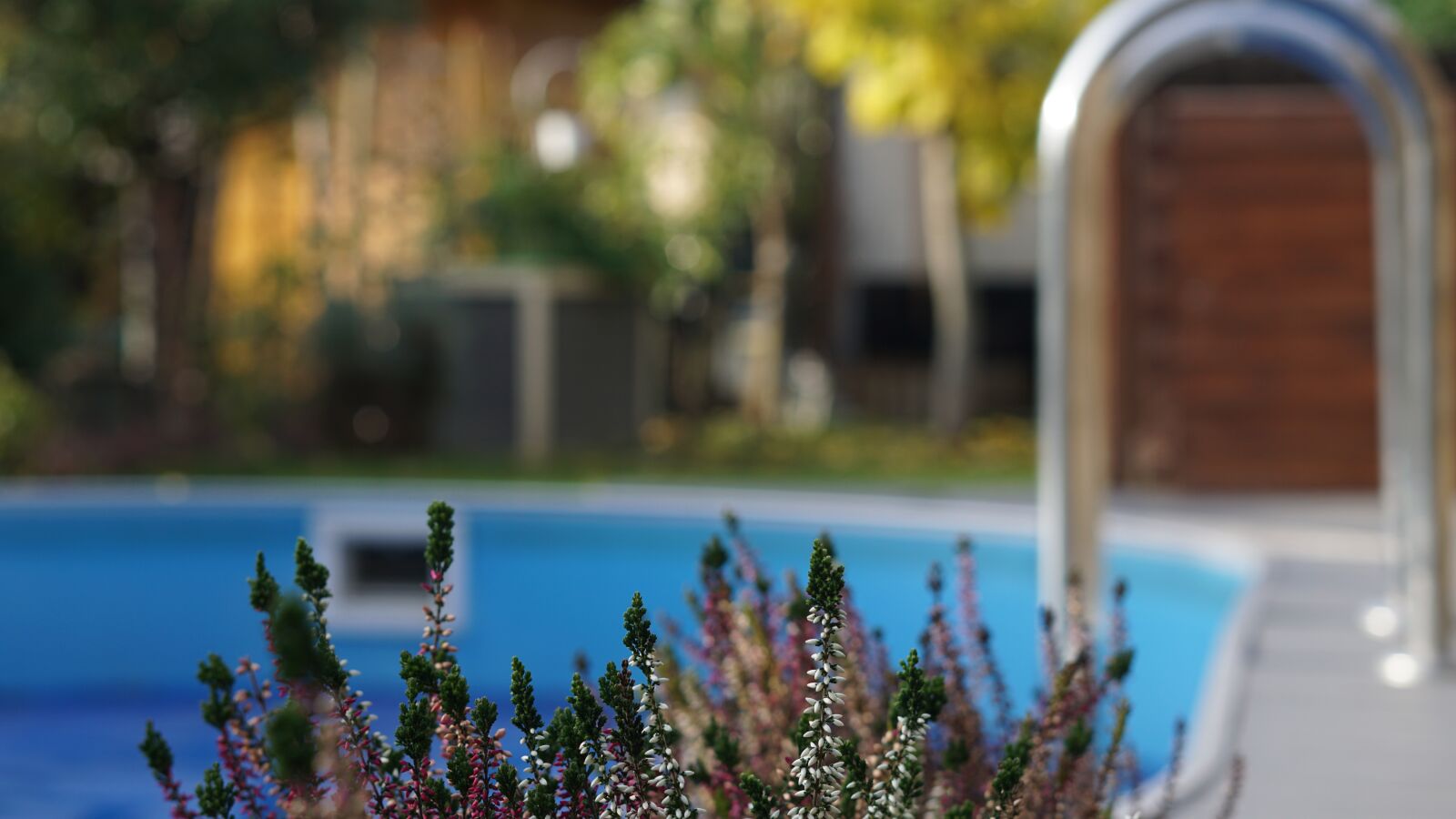 Sony a6000 sample photo. Background, pool, winterizing photography