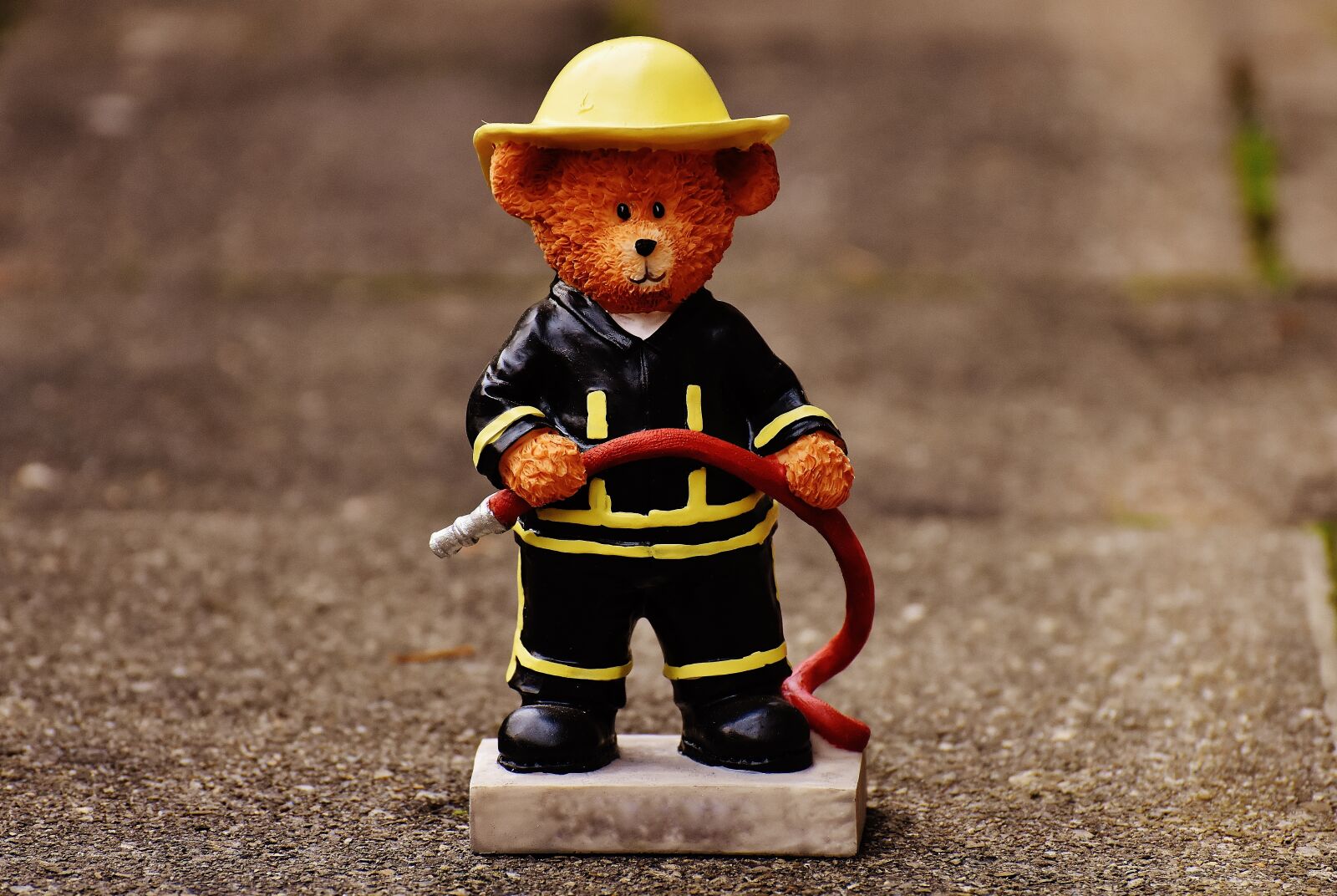 Nikon D7200 sample photo. Bear, profession, fire fighter photography