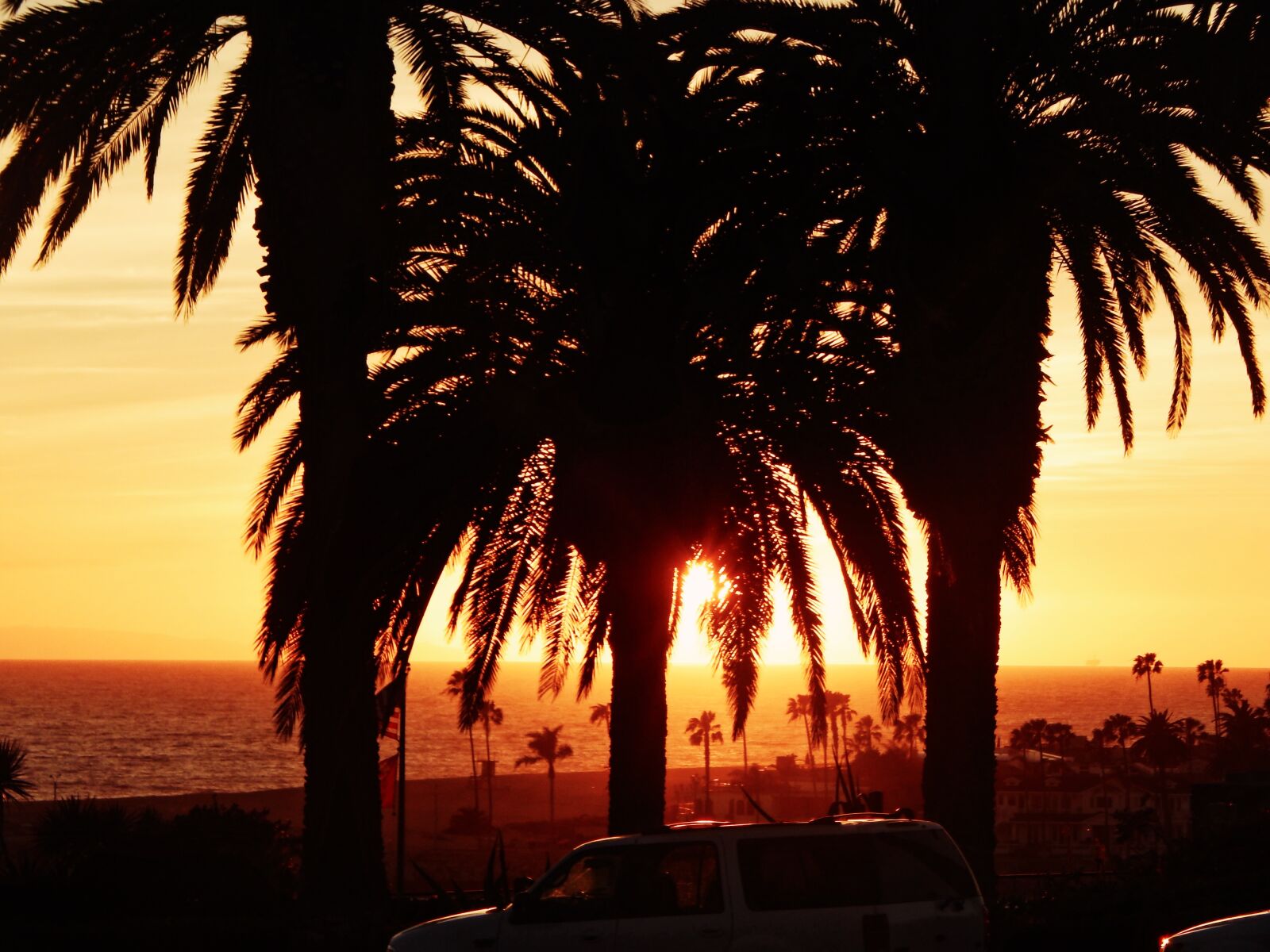 Nikon Coolpix L830 sample photo. California, los, angeles, palms photography