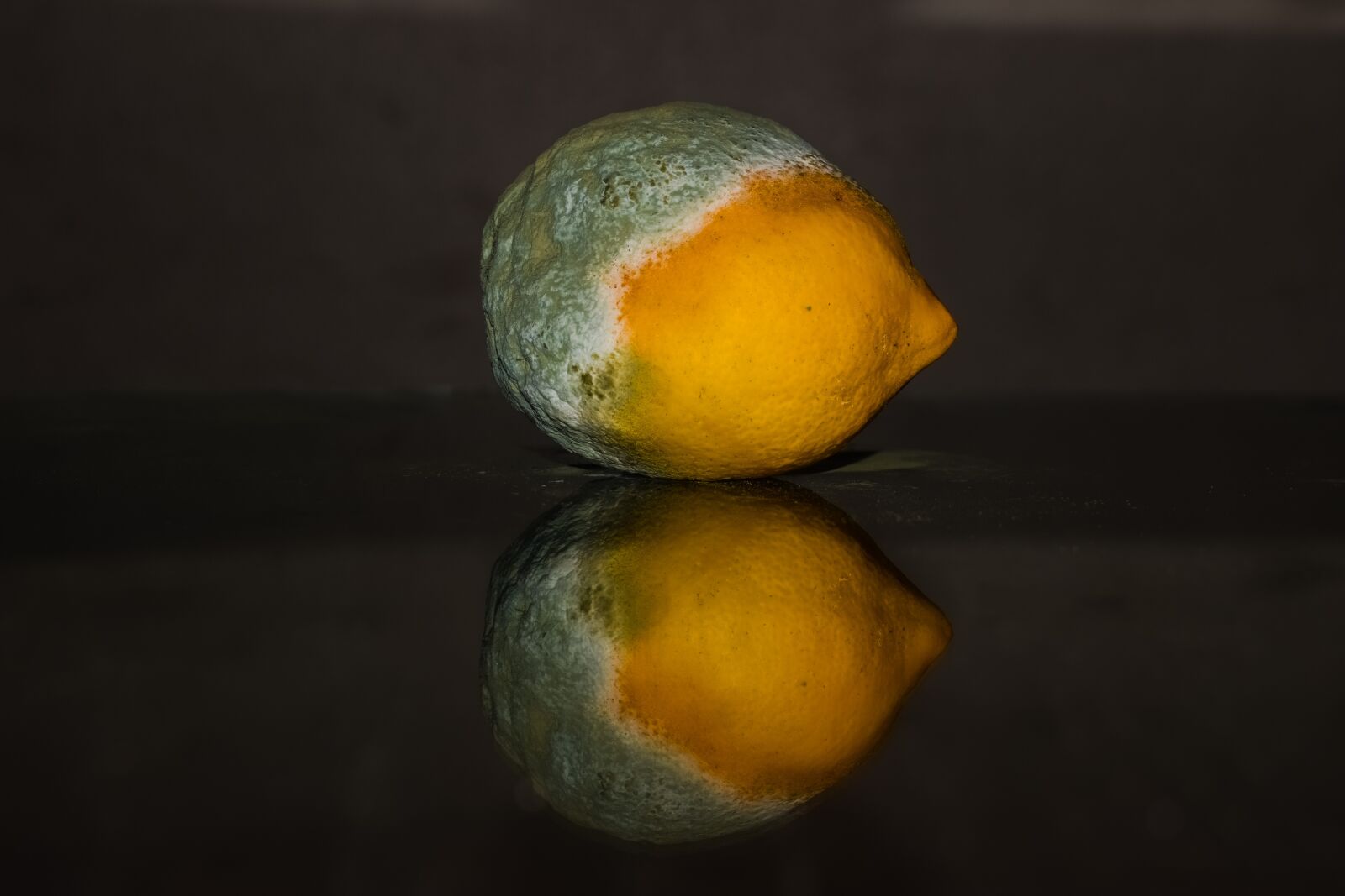 Nikon D3300 sample photo. Lemon, rotten, fruit photography