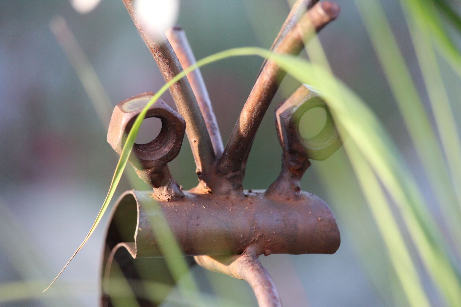 Canon EOS 1200D (EOS Rebel T5 / EOS Kiss X70 / EOS Hi) sample photo. Art, iron, rust photography