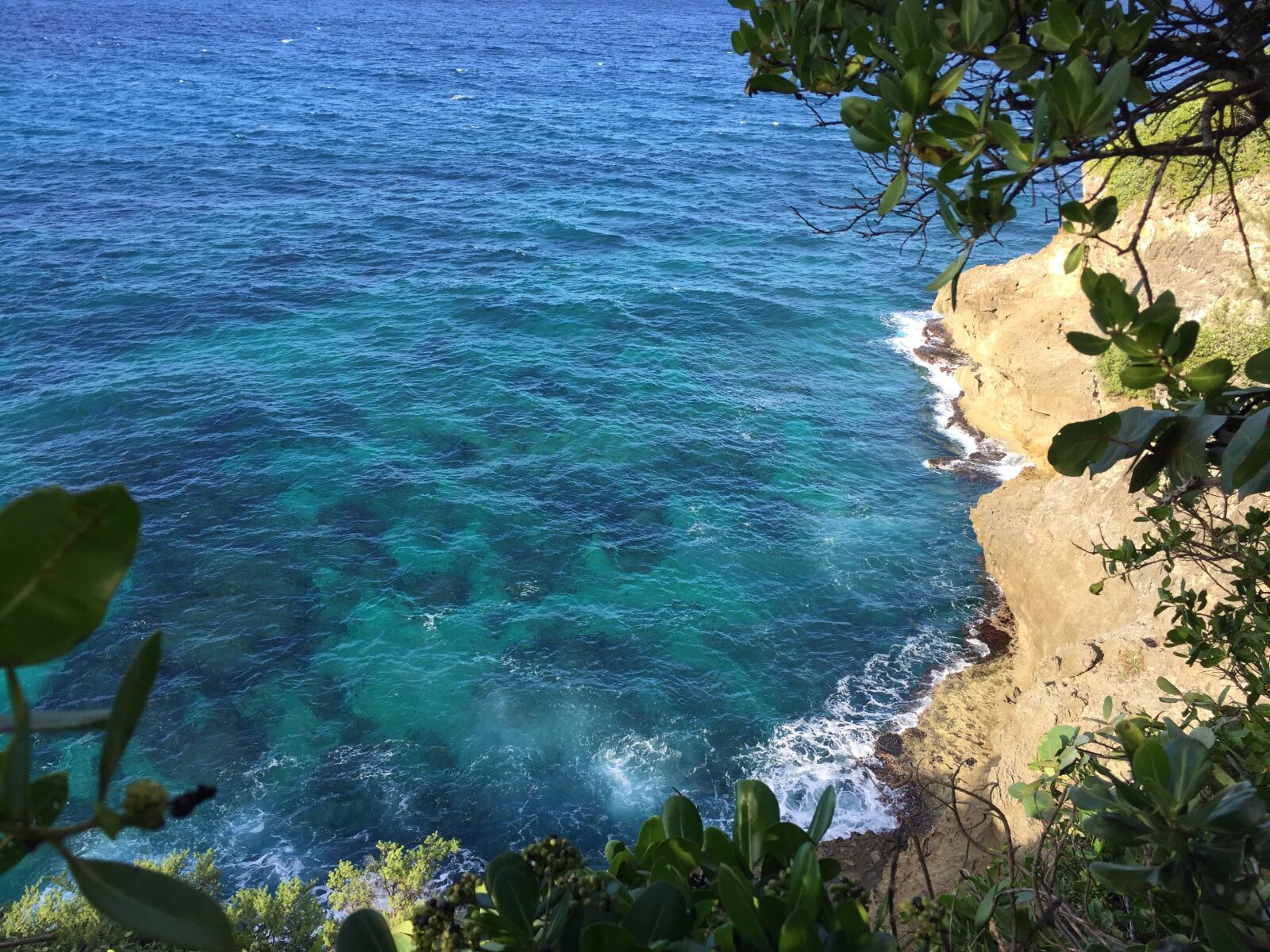 iPhone 6 back camera 4.15mm f/2.2 sample photo. Blue water, sea side photography