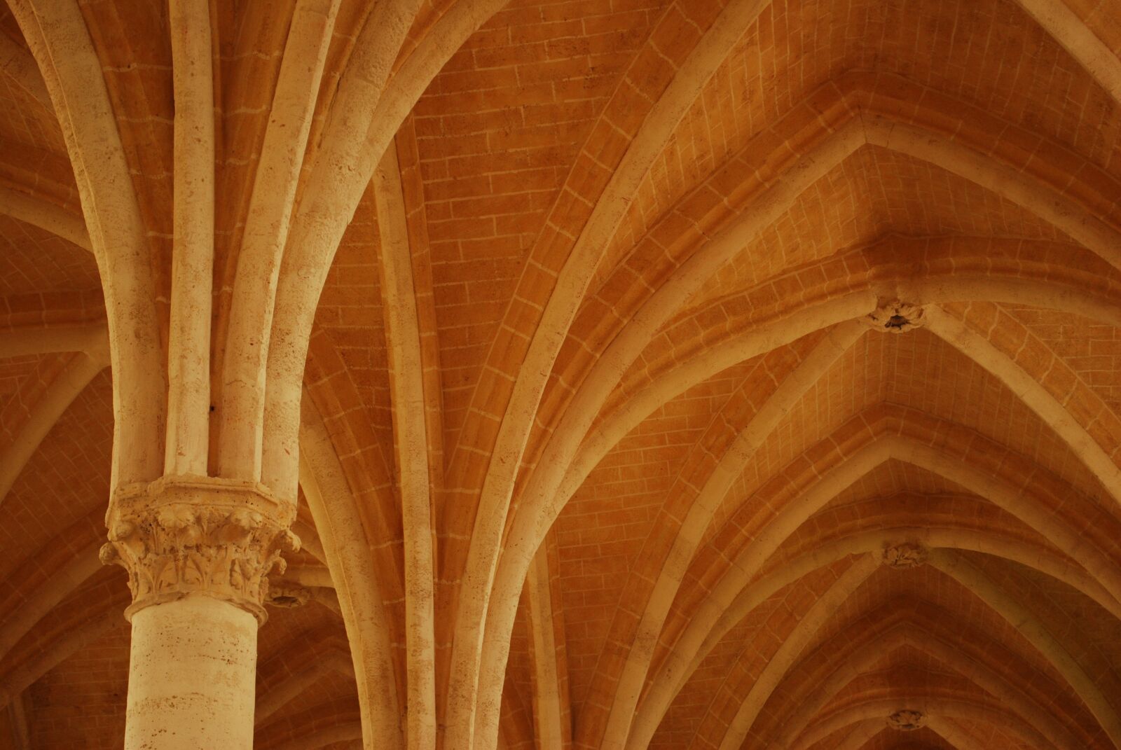 Nikon D60 sample photo. Soissons, france, gothic photography