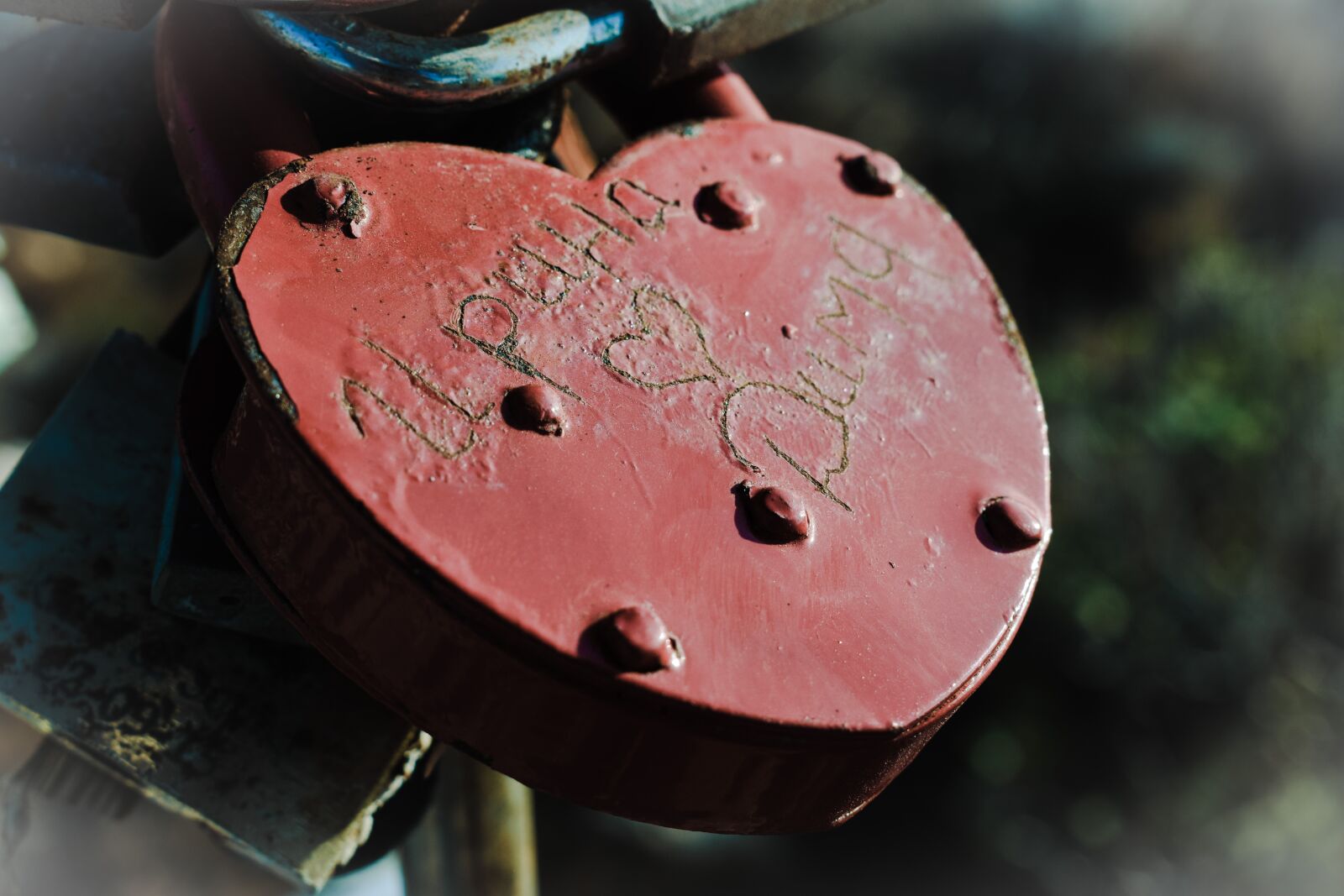 Nikon D3300 sample photo. Love, padlock, lover's bridge photography