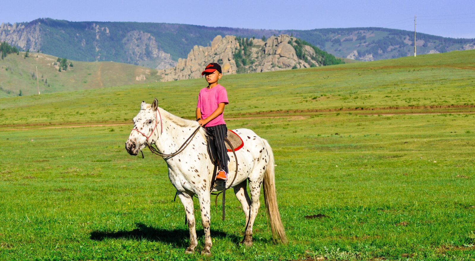 Nikon D90 sample photo. Horse, kid, boy photography