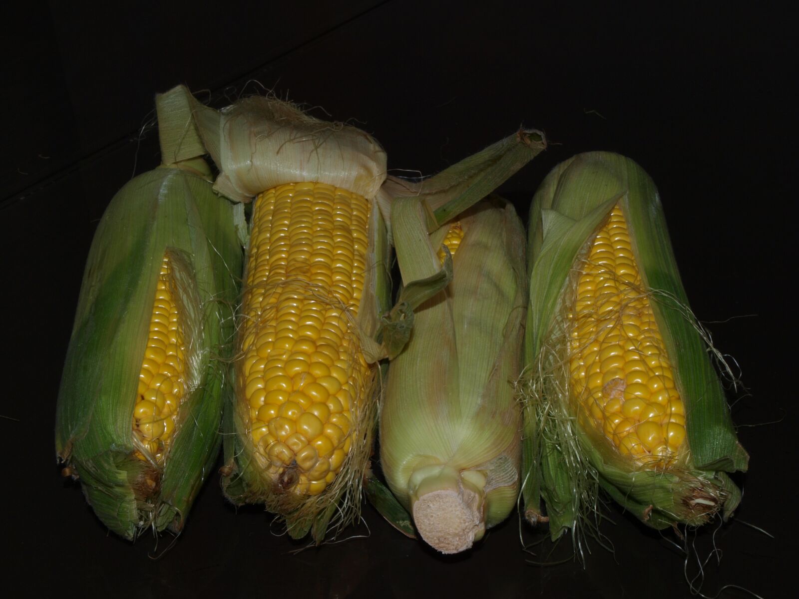 Olympus E-520 (EVOLT E-520) sample photo. Corn, the ear, harvest photography