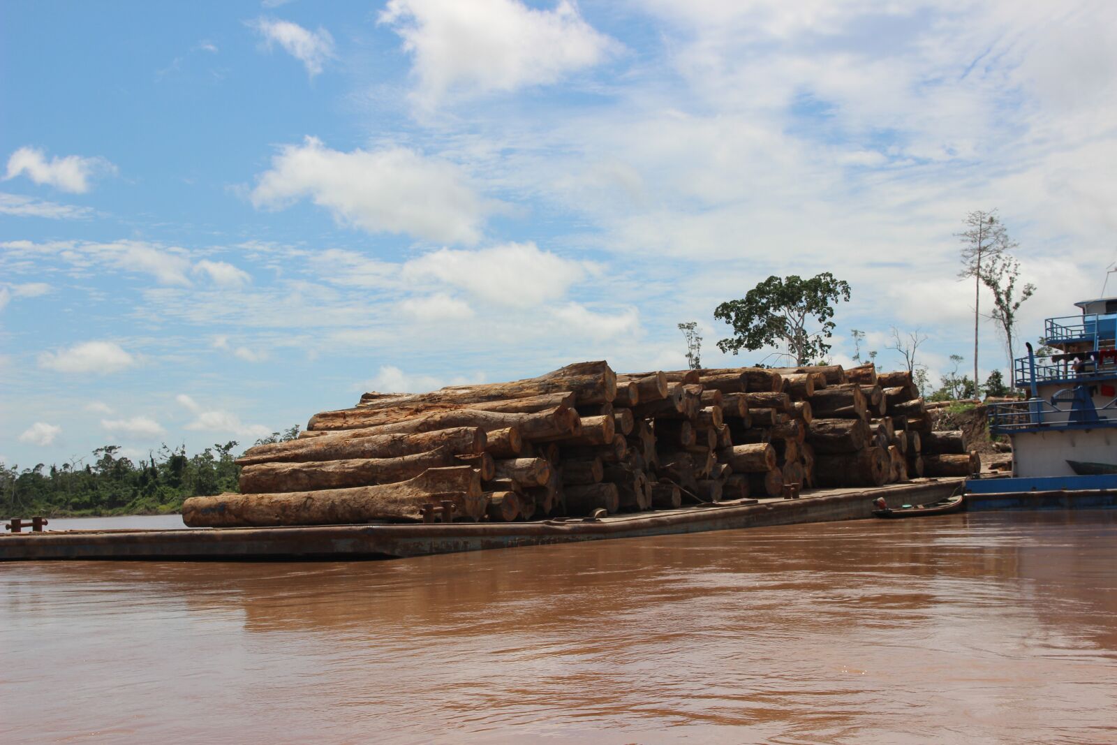 Canon EOS 600D (Rebel EOS T3i / EOS Kiss X5) sample photo. Harvesting, forests, river photography