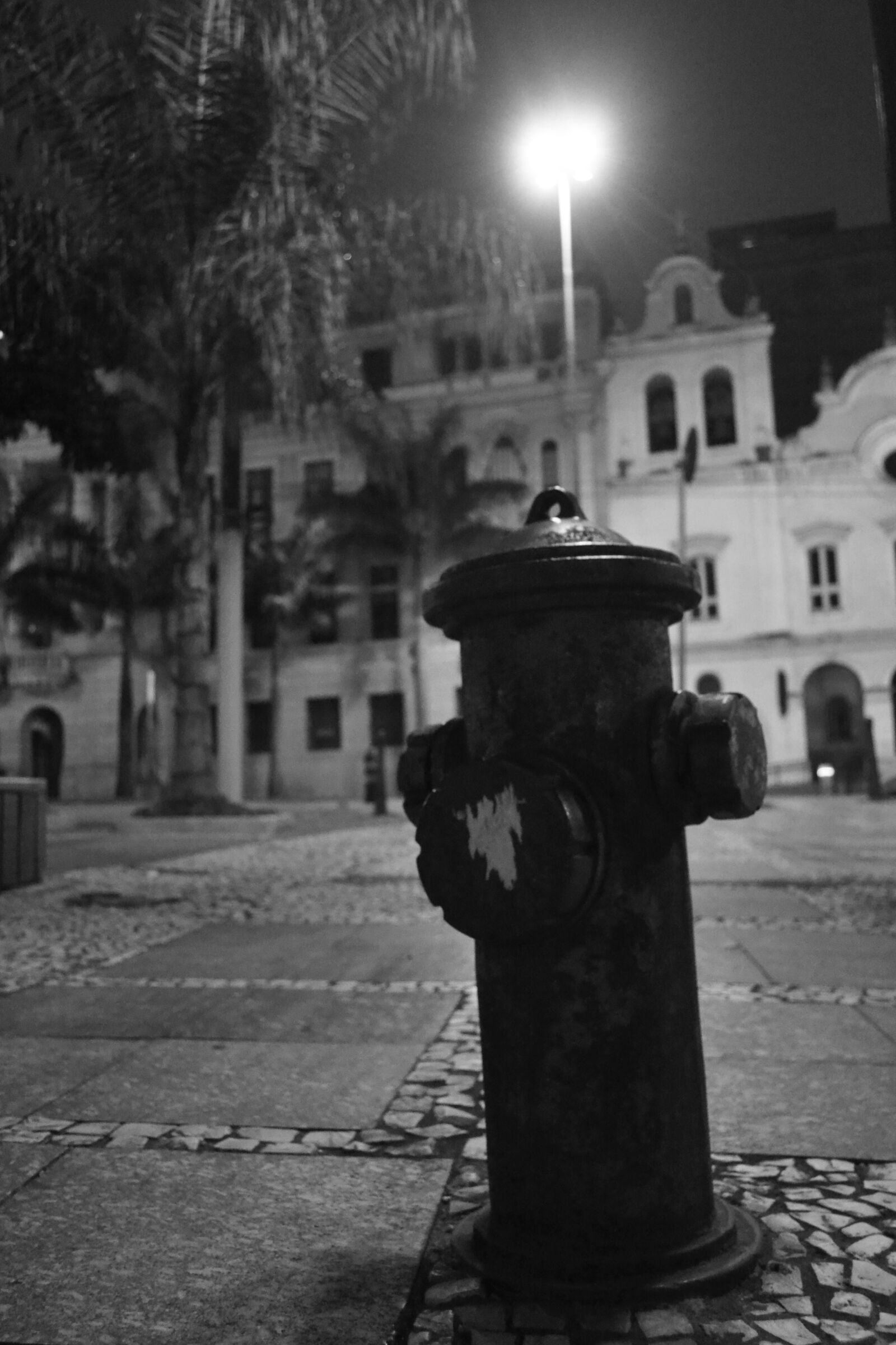 Nikon D3100 sample photo. City, sao, paulo photography