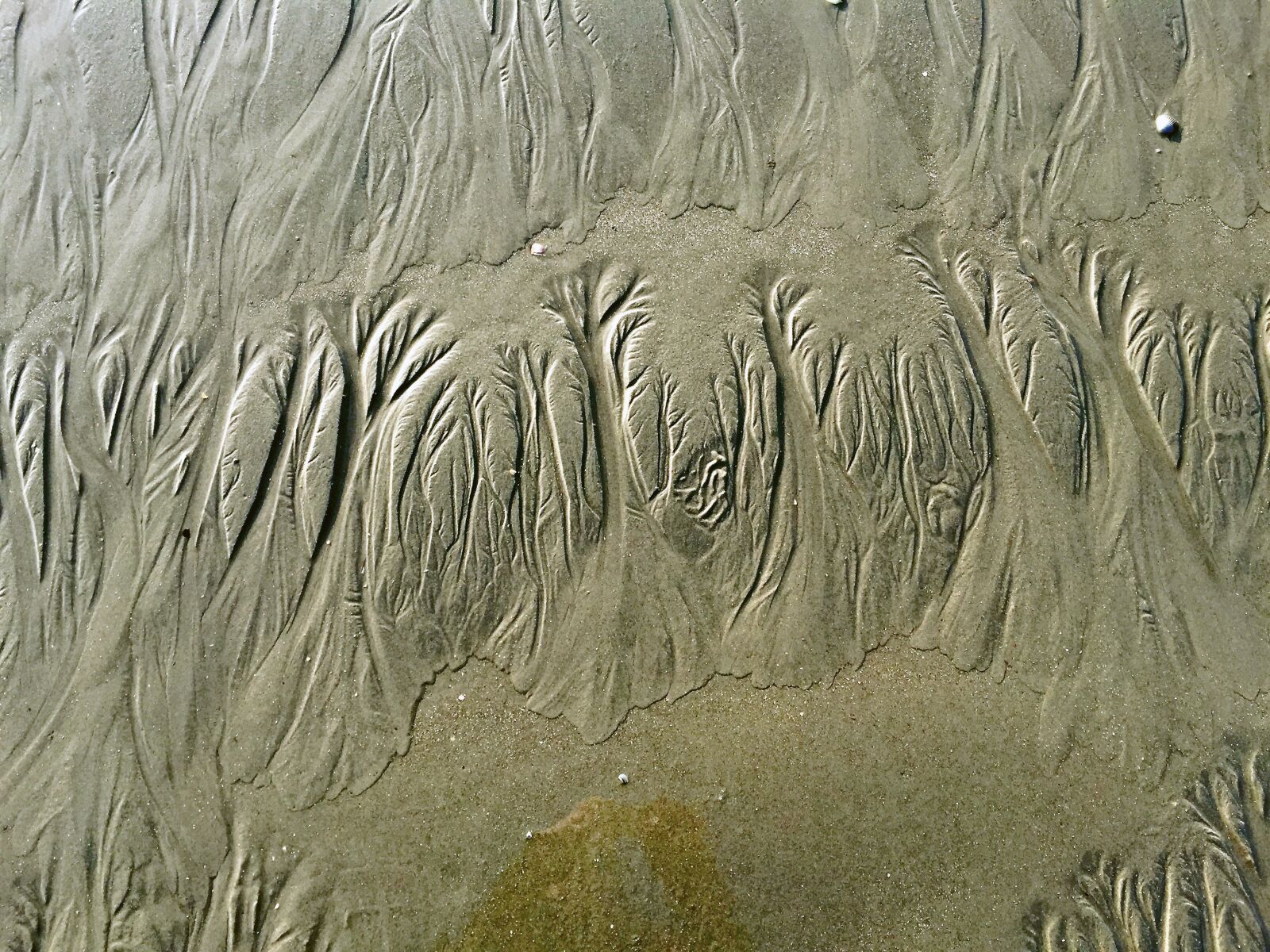Apple iPhone 6 sample photo. Beach, sand, wadden sea photography