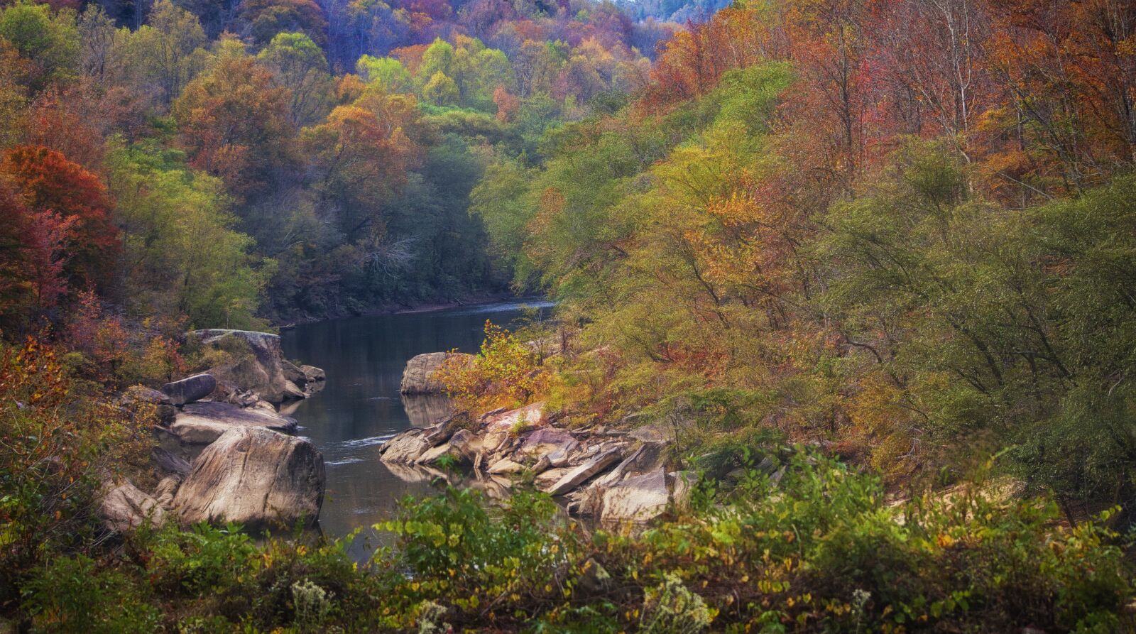 Canon EOS 450D (EOS Rebel XSi / EOS Kiss X2) sample photo. Forest fall, kentucky, river photography