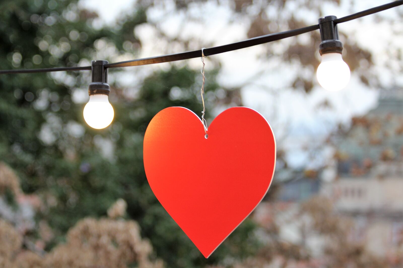 Canon EOS 600D (Rebel EOS T3i / EOS Kiss X5) sample photo. Red heart, white light photography