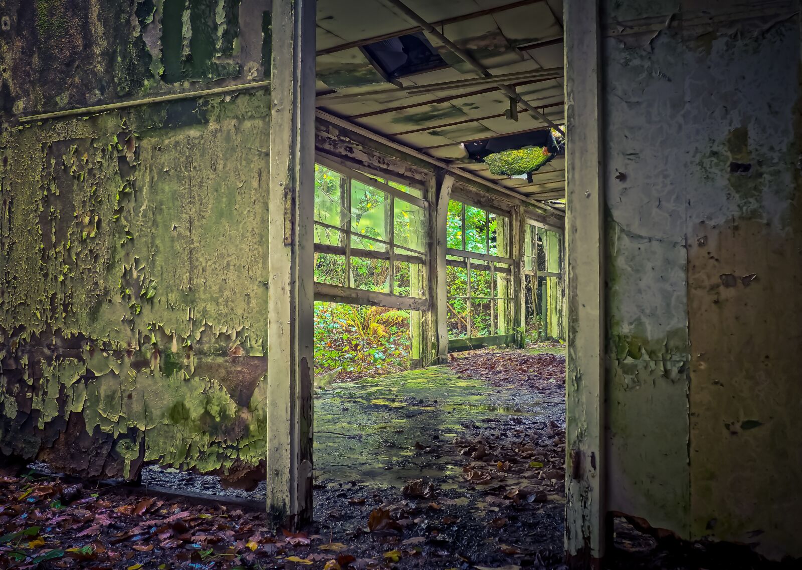 Olympus OM-D E-M10 sample photo. Lost places, abandoned, decay photography