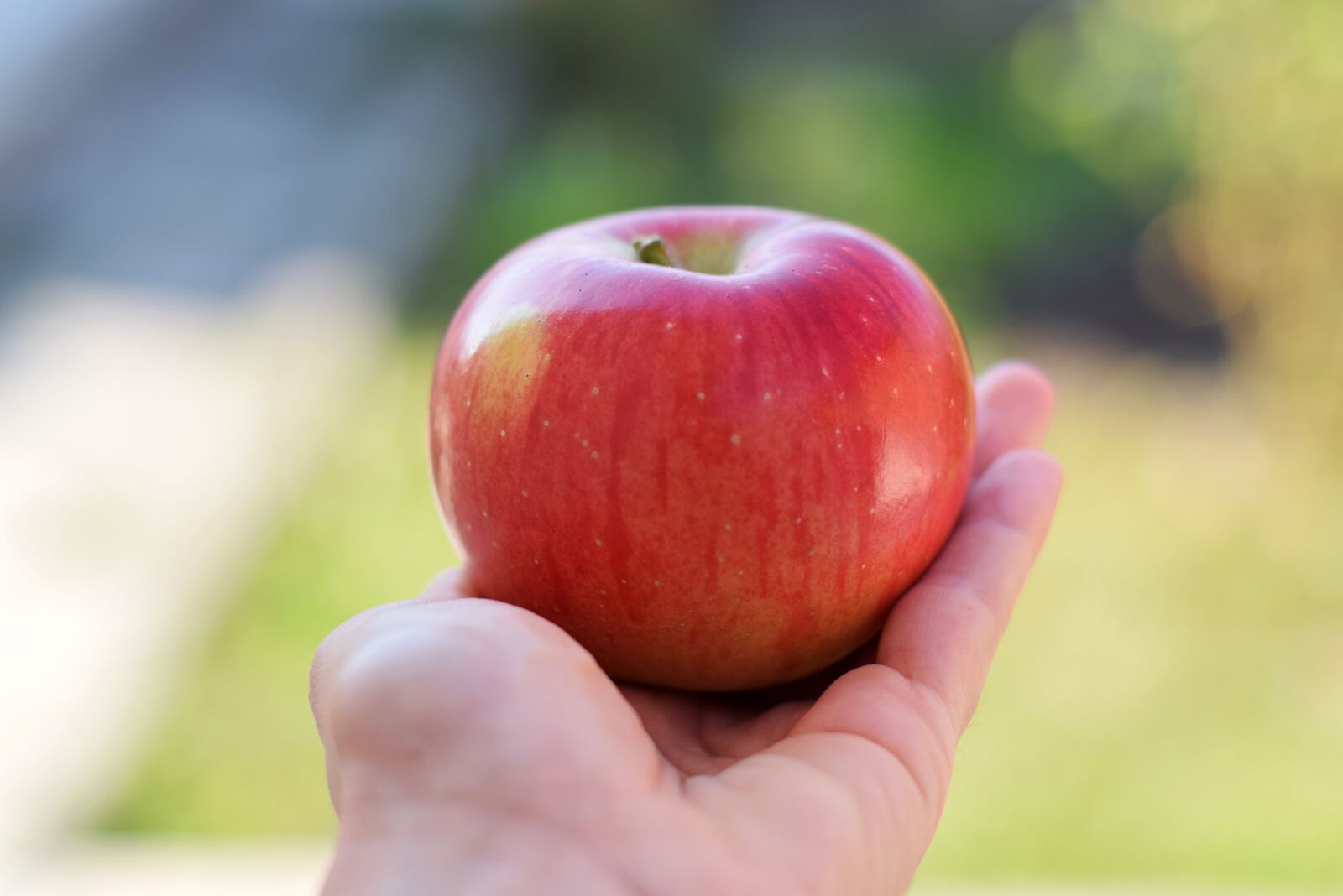 Nikon D3300 sample photo. Apple, red apple, juicy photography