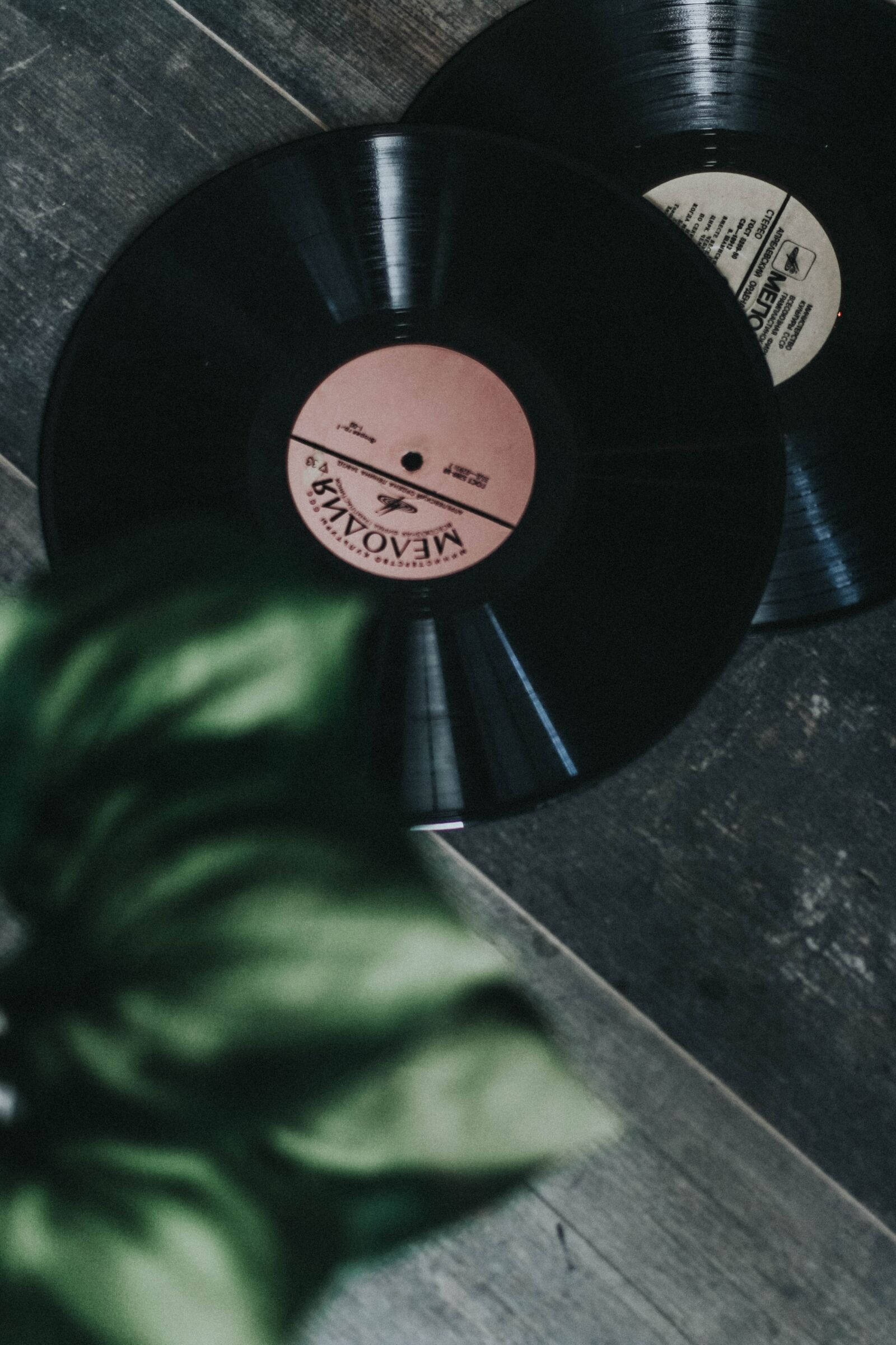 Canon EF 50mm F1.4 USM sample photo. Record, retro, vinyl photography