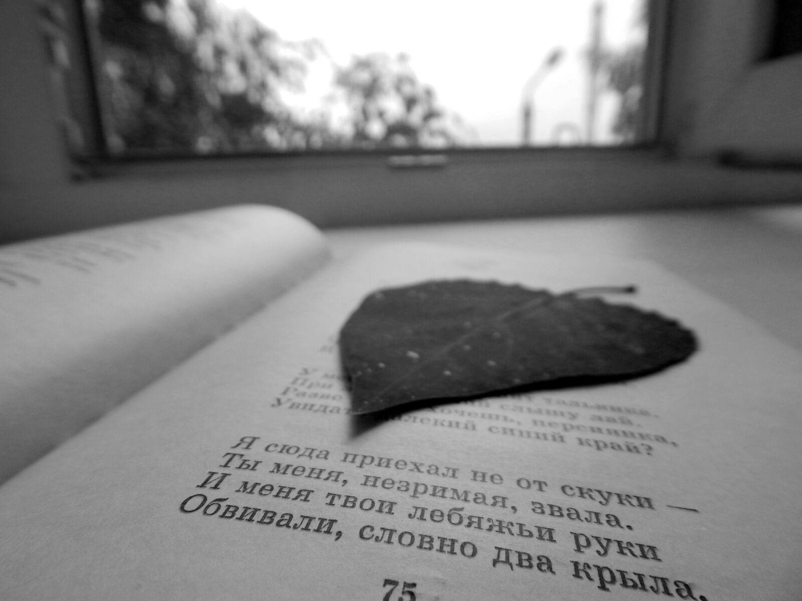 Nikon Coolpix L830 sample photo. Book, black and white photography