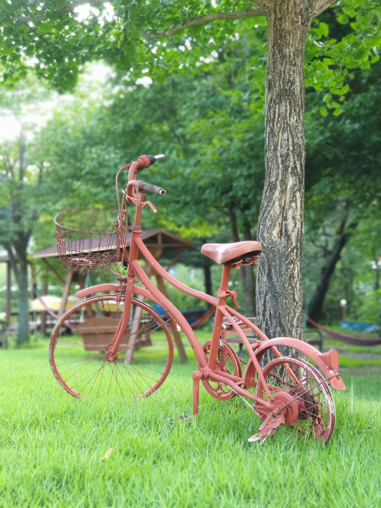 Samsung Galaxy Note9 sample photo. Bike, grass, nature photography