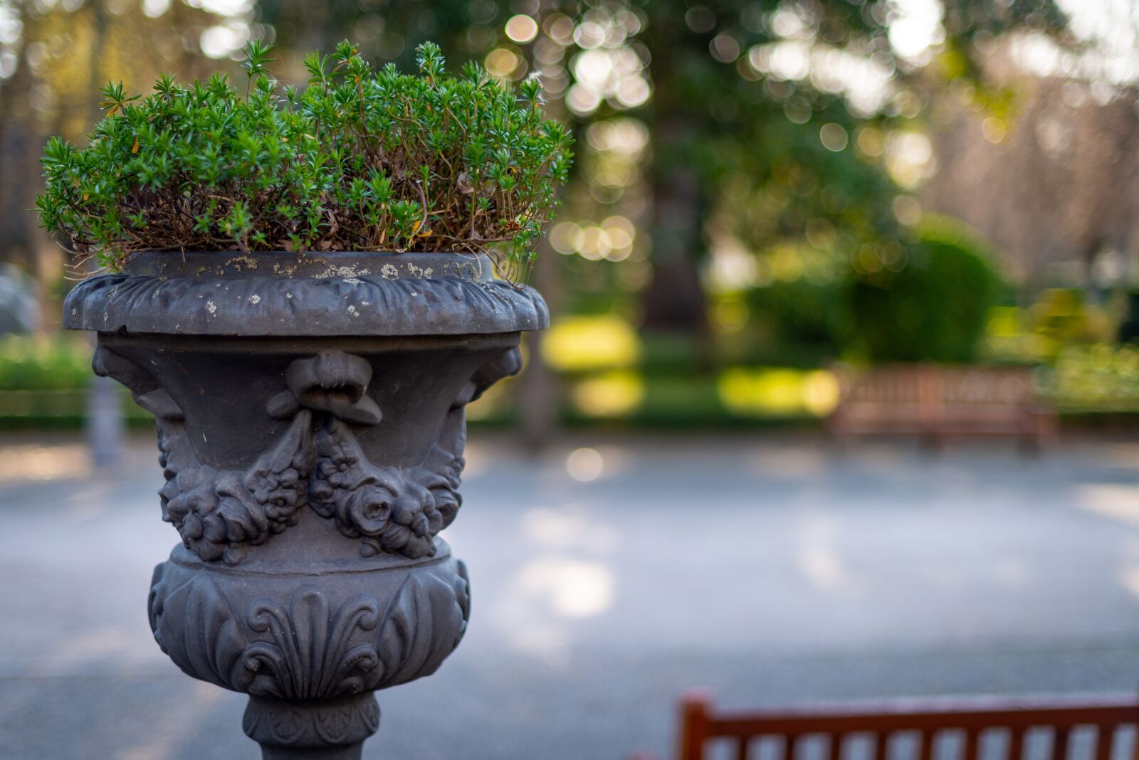 Nikon D800E sample photo. Ship, plant pot, green photography